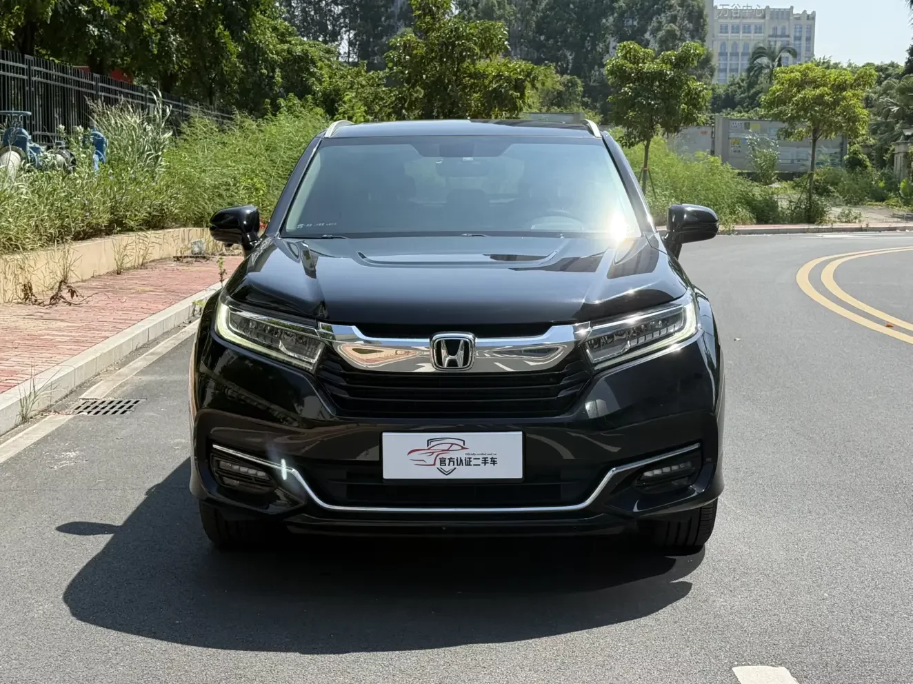 Honda Avancier (Crown Road)