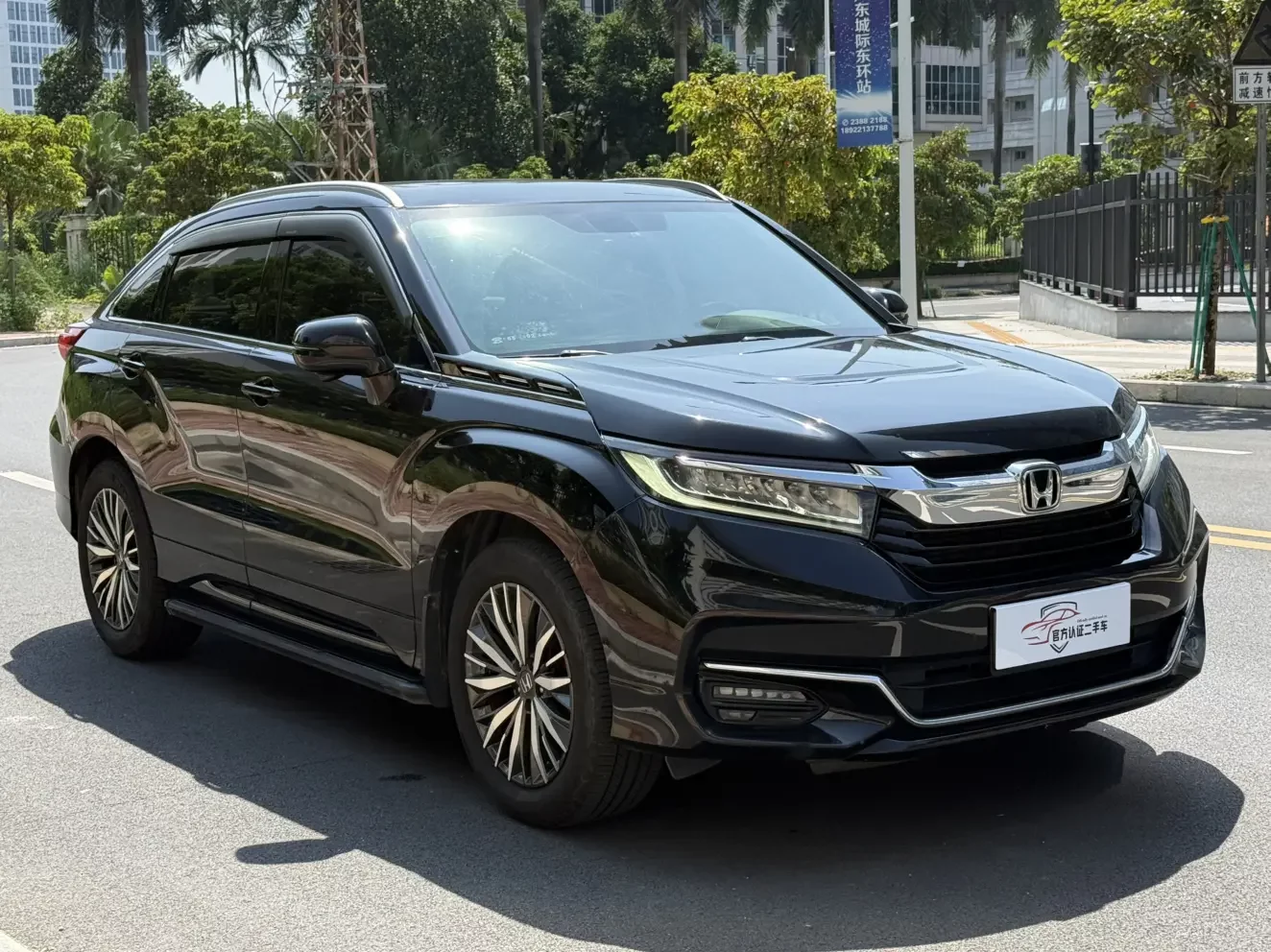 Honda Avancier (Crown Road)