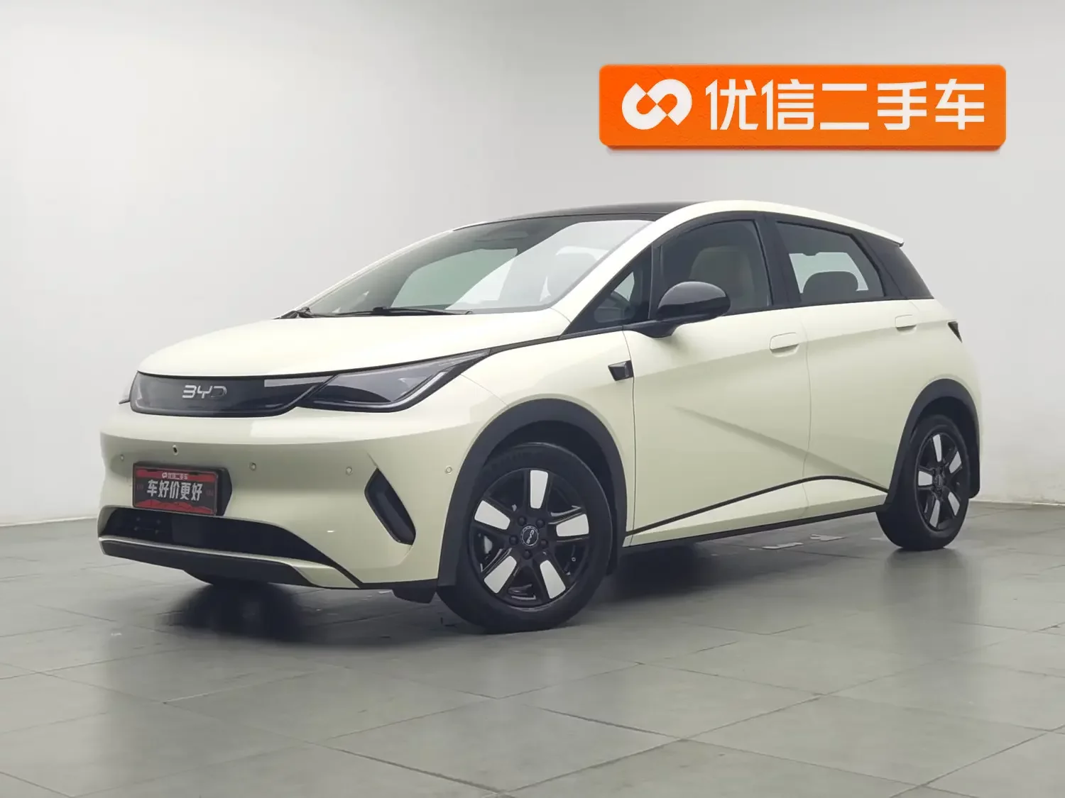 BYD dolphin
