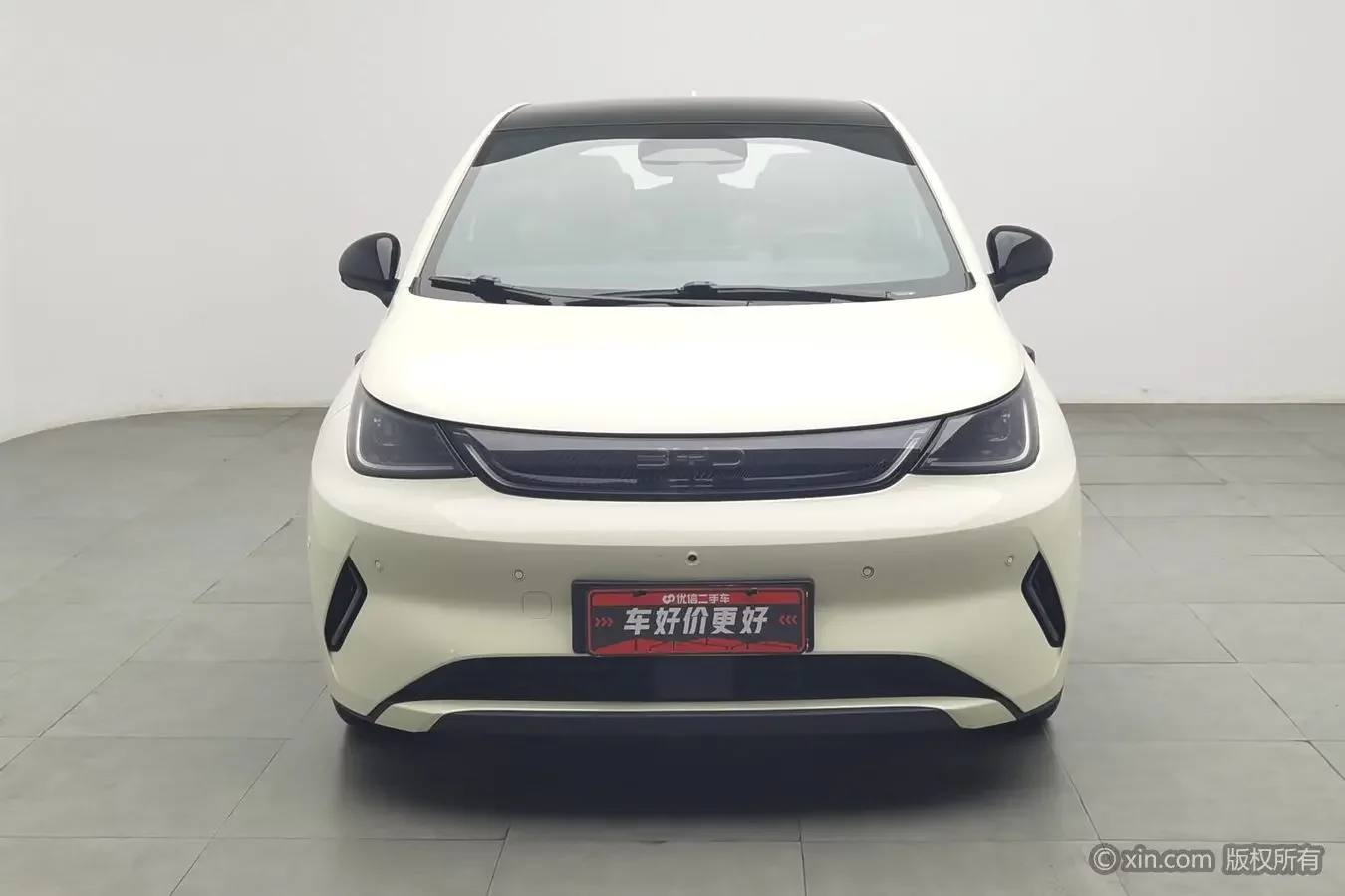 BYD dolphin