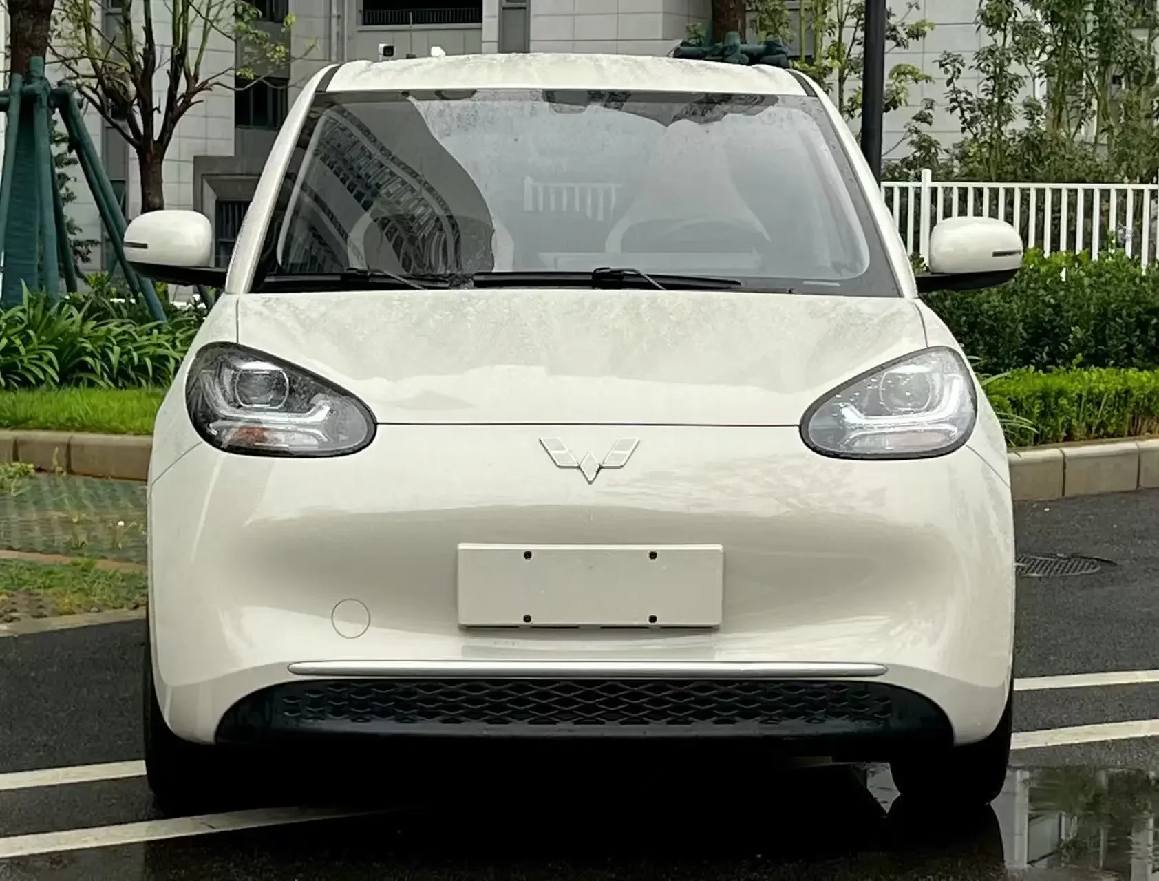 Wuling Bingo