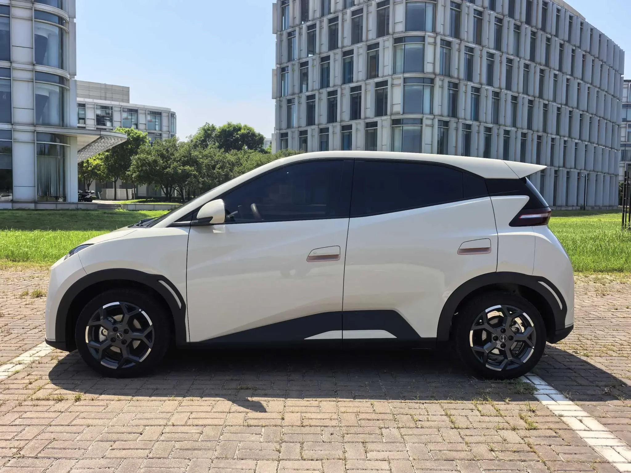 BYD seagull