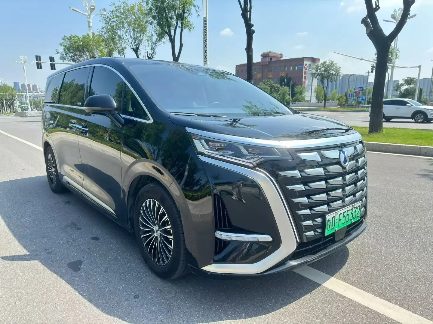 Denza D9 DM