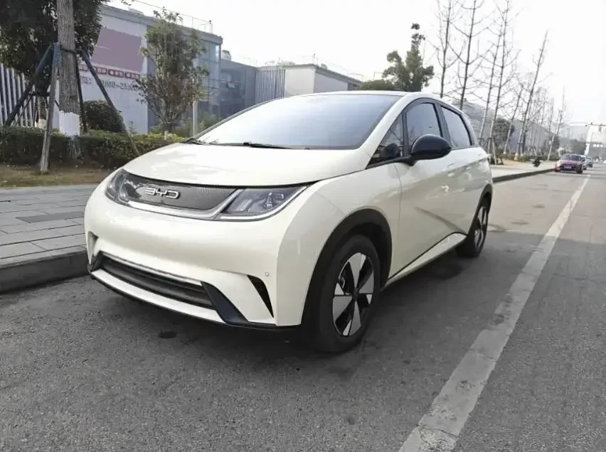 BYD dolphin