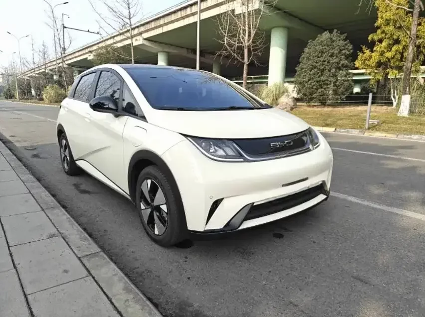 BYD dolphin