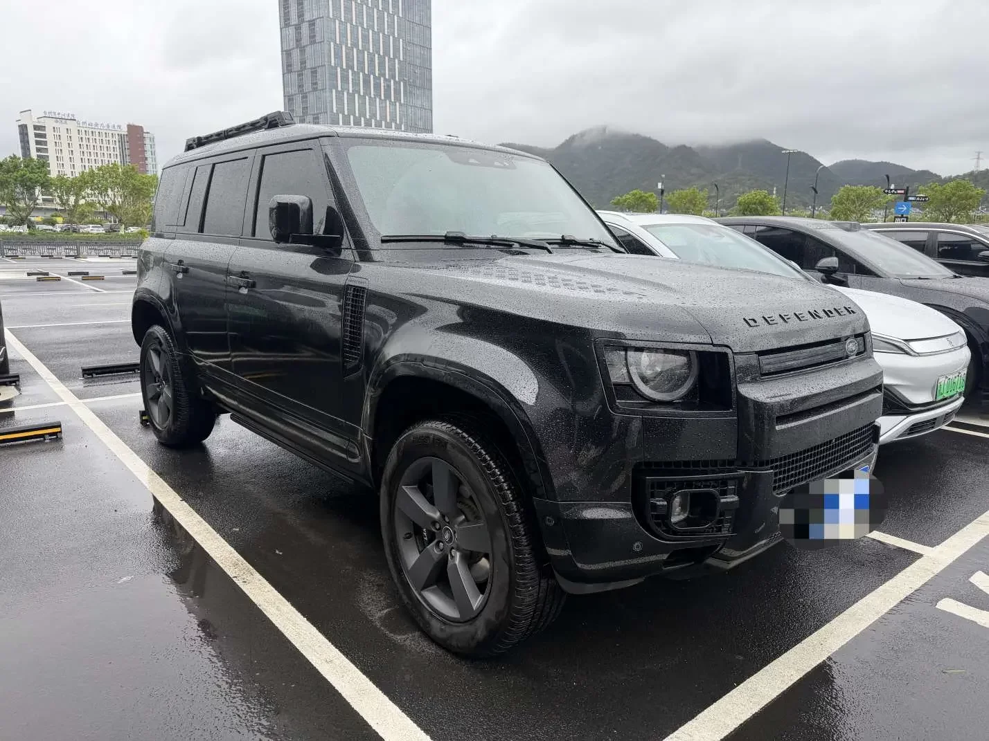 Land Rover guard