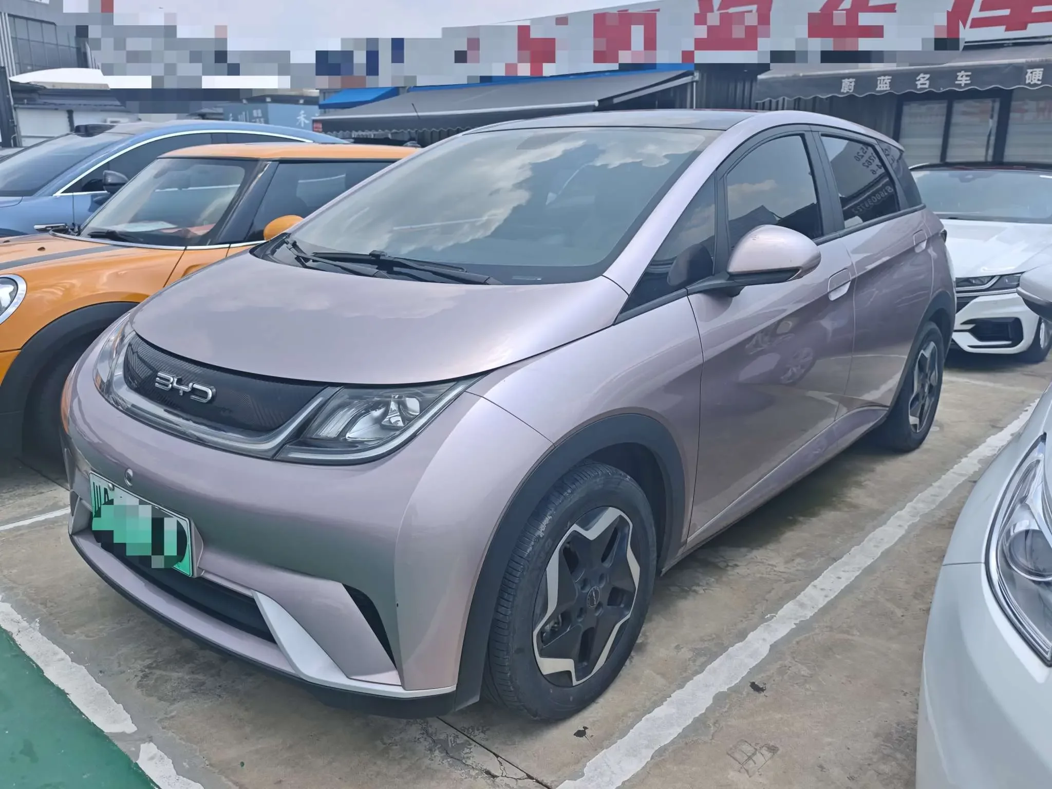 BYD dolphin