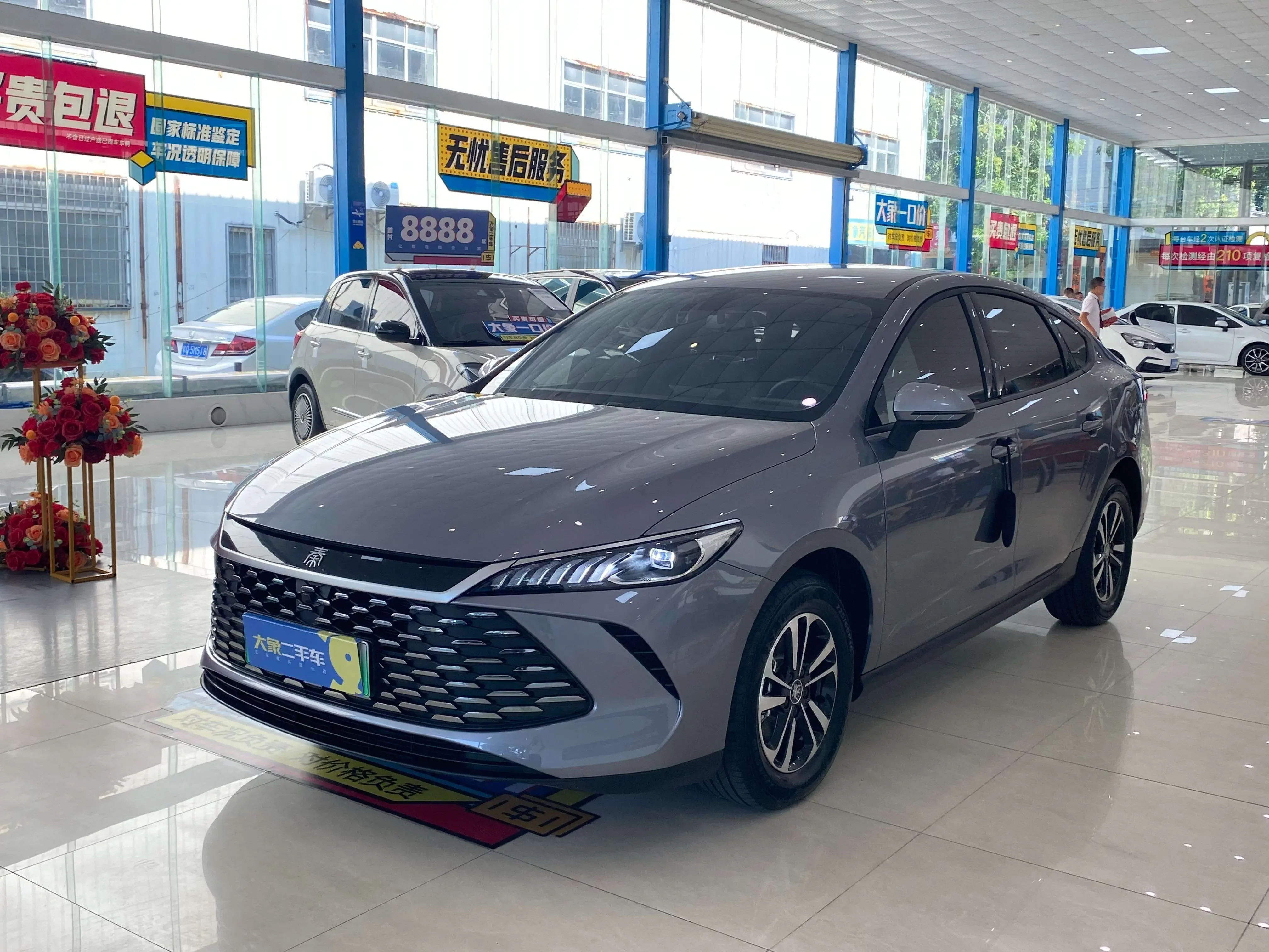 BYD Qin PLUS DM