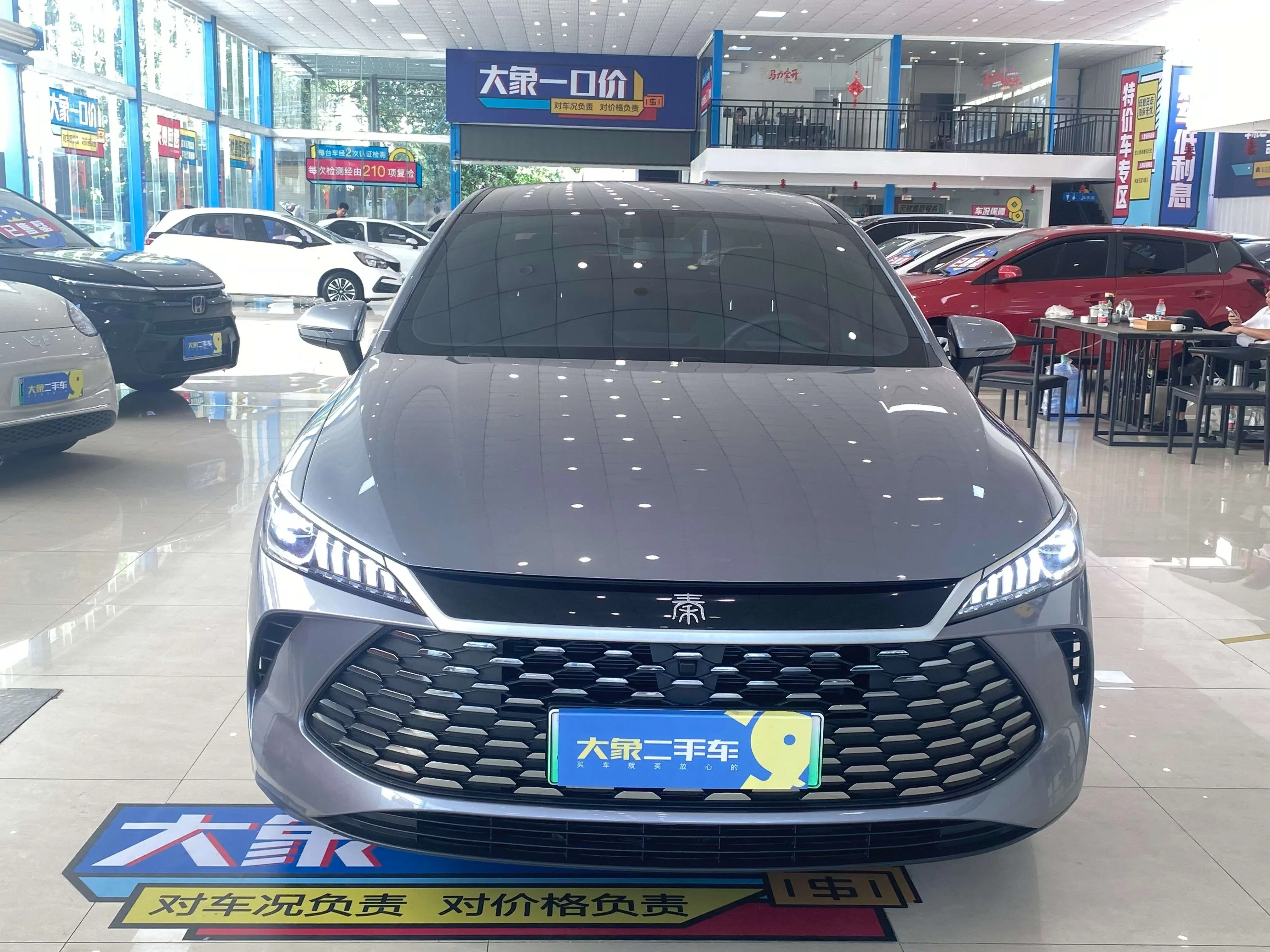BYD Qin PLUS DM