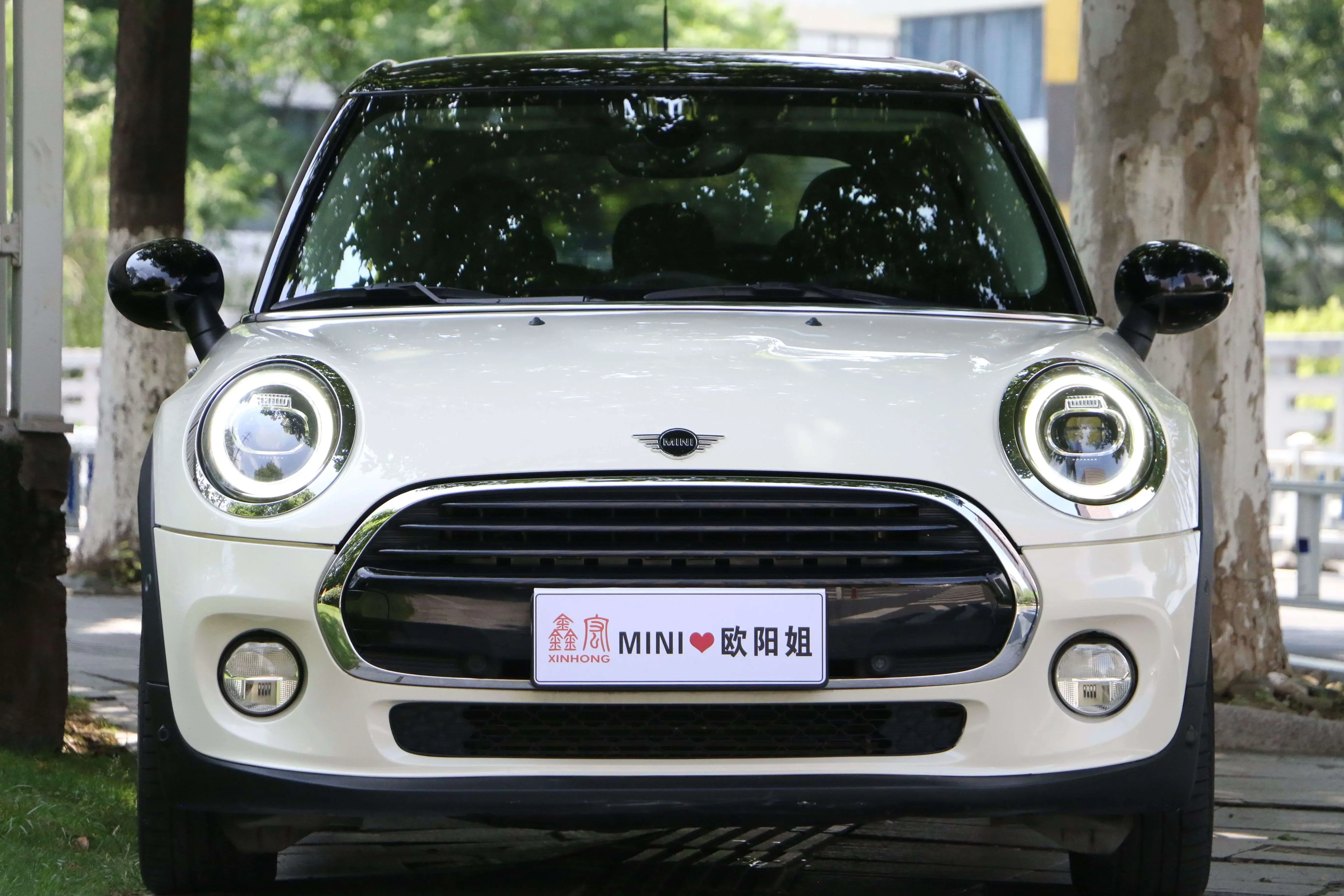 MINI 