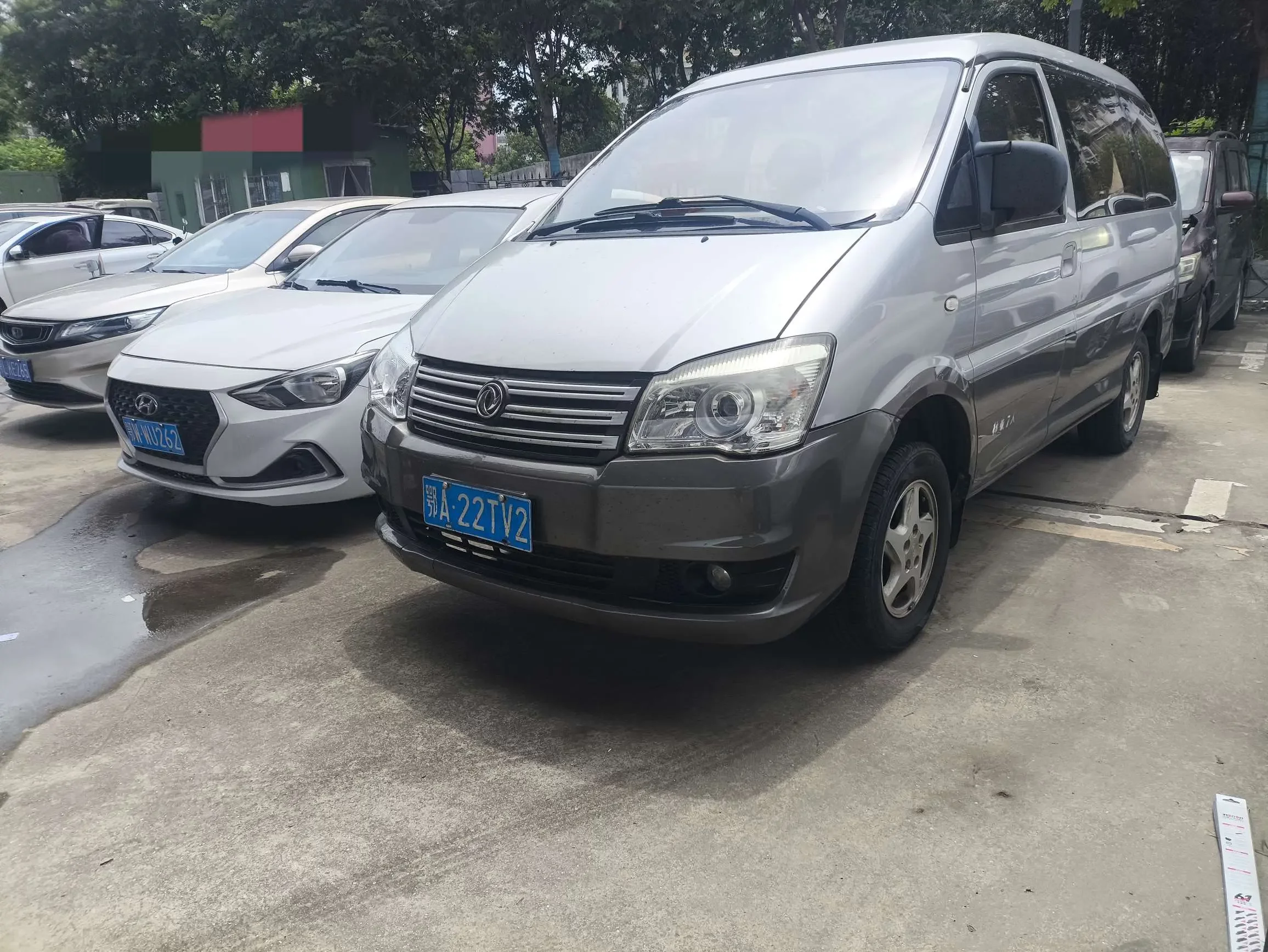 Forthing Lingzhi