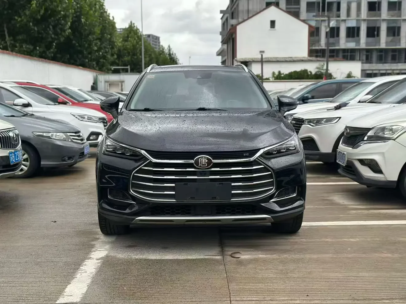 BYD Tang