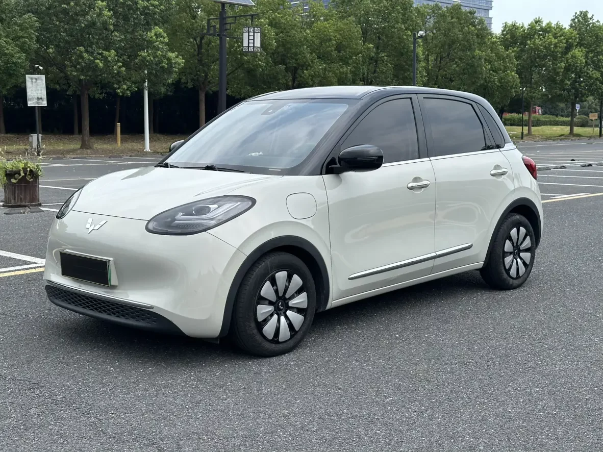 Wuling Bingo