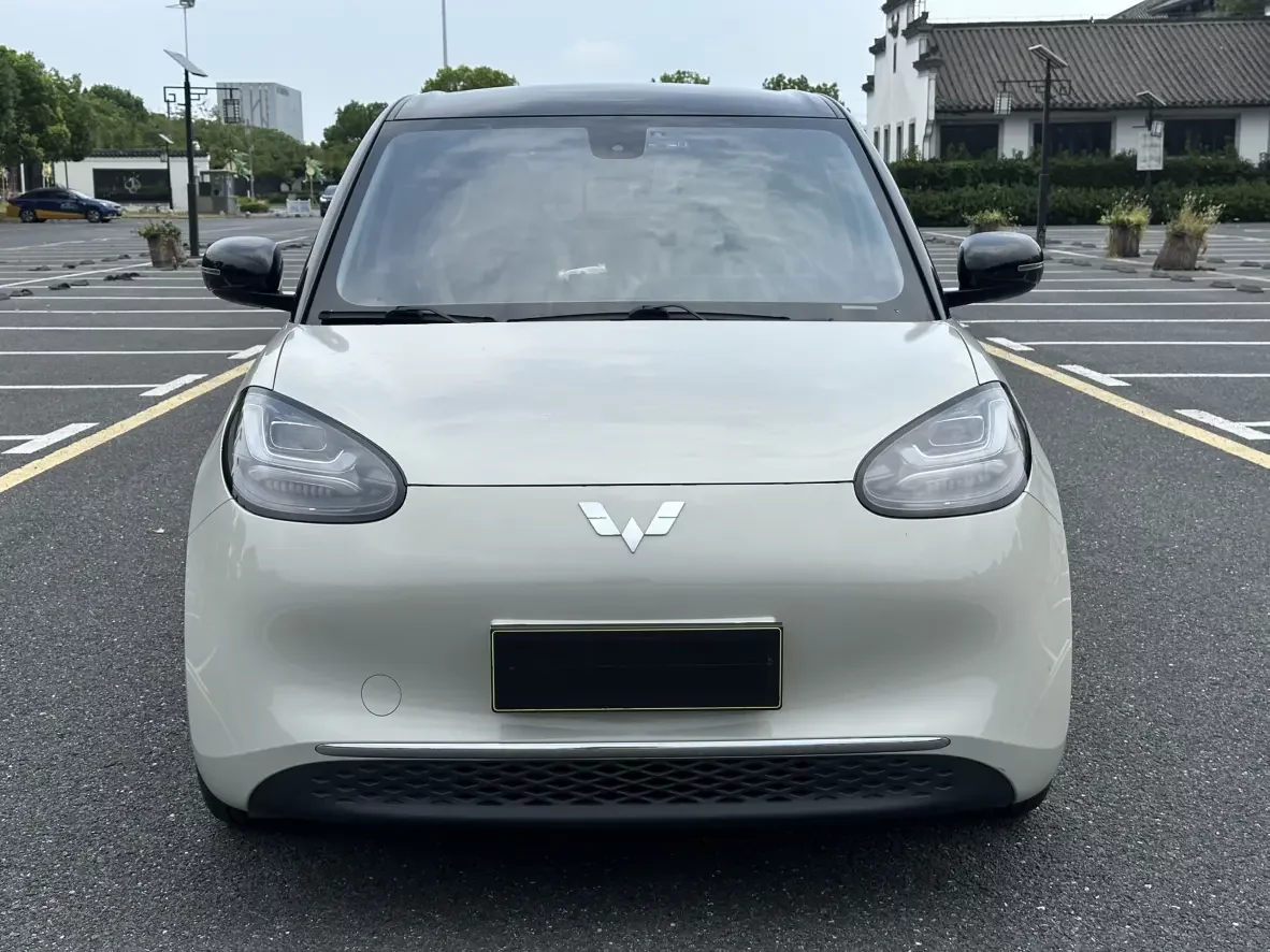 Wuling Bingo