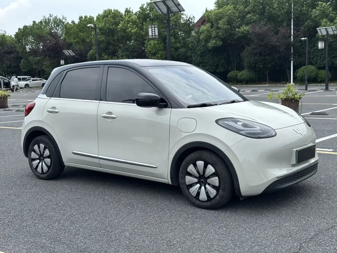 Wuling Bingo