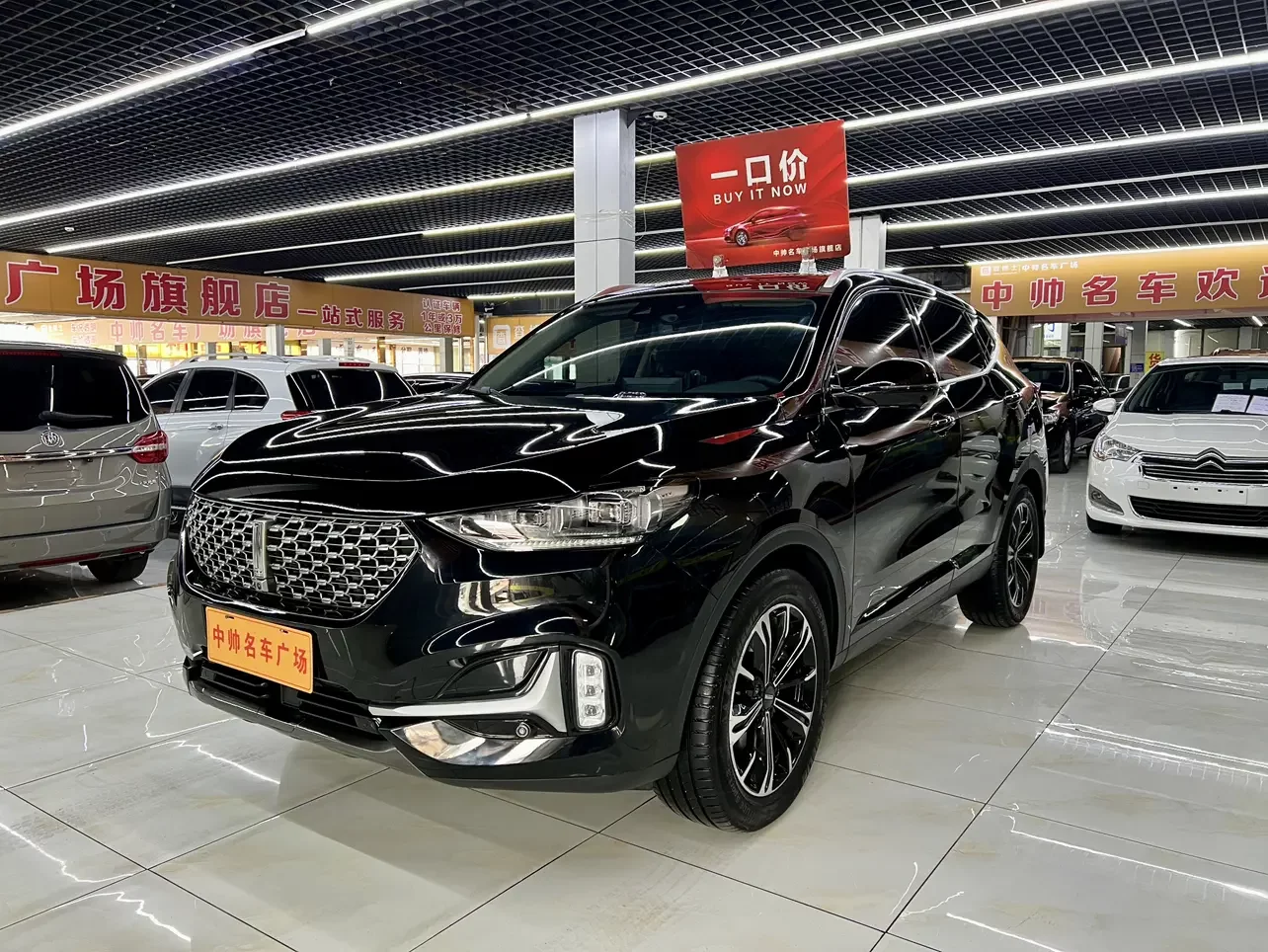 Wey Wei brand VV6