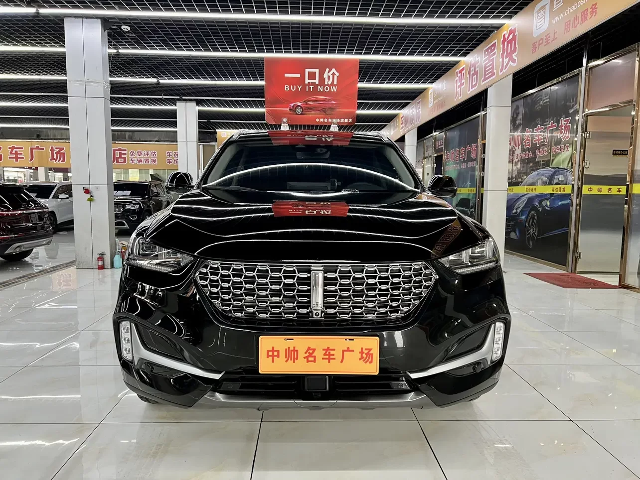 Wey Wei brand VV6