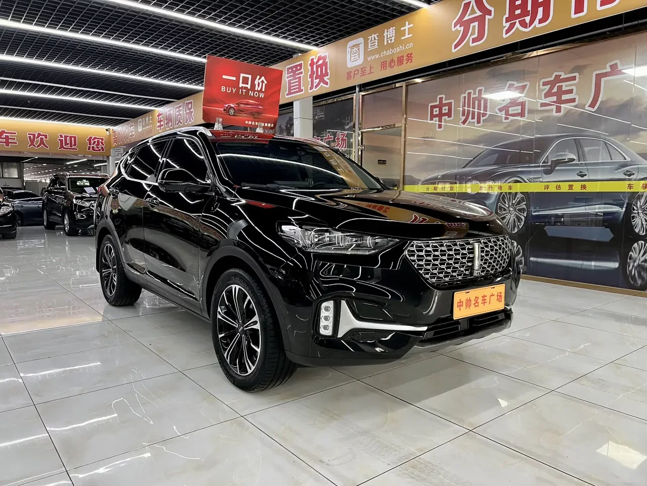 Wey Wei brand VV6