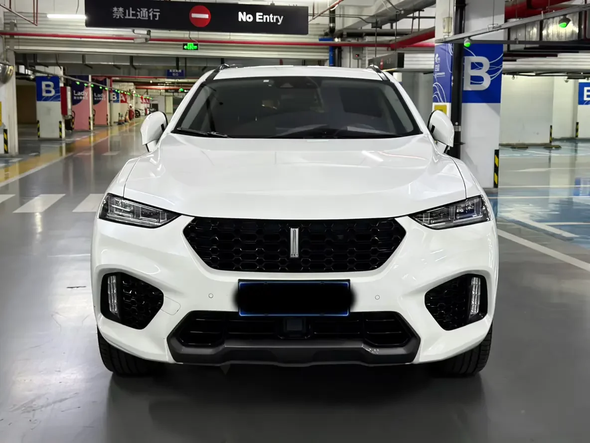 Wey Wei brand VV7