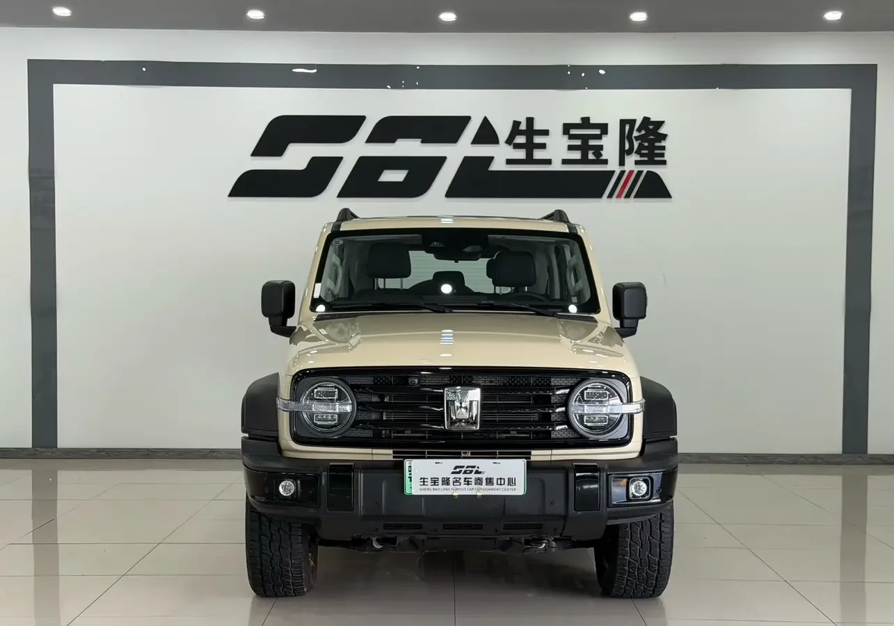 Tank 300 Hi4-T
