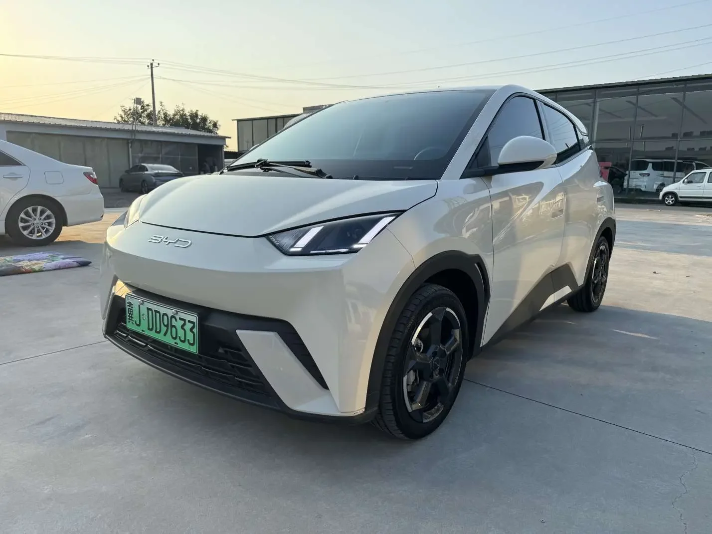 BYD seagull