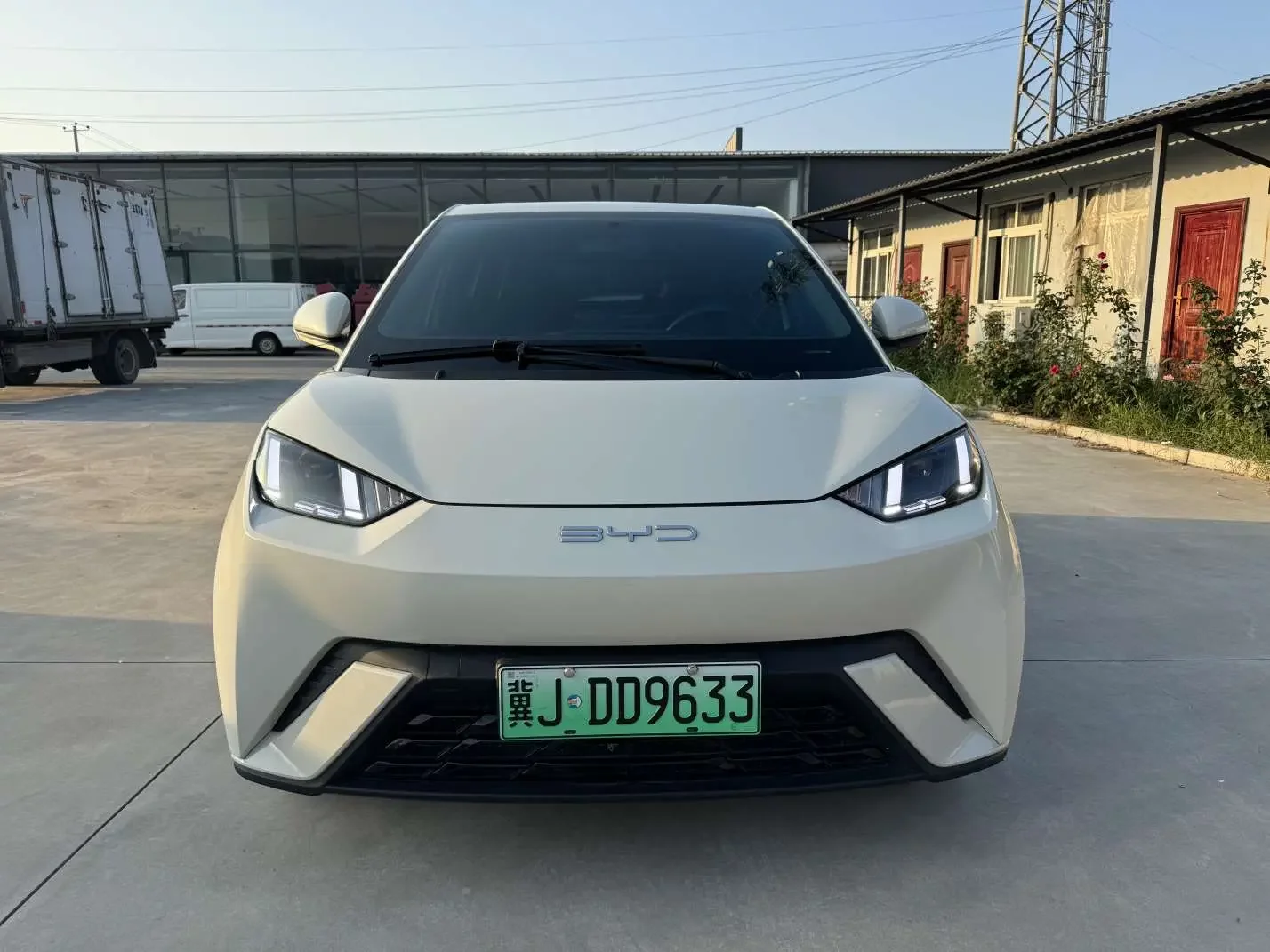 BYD seagull