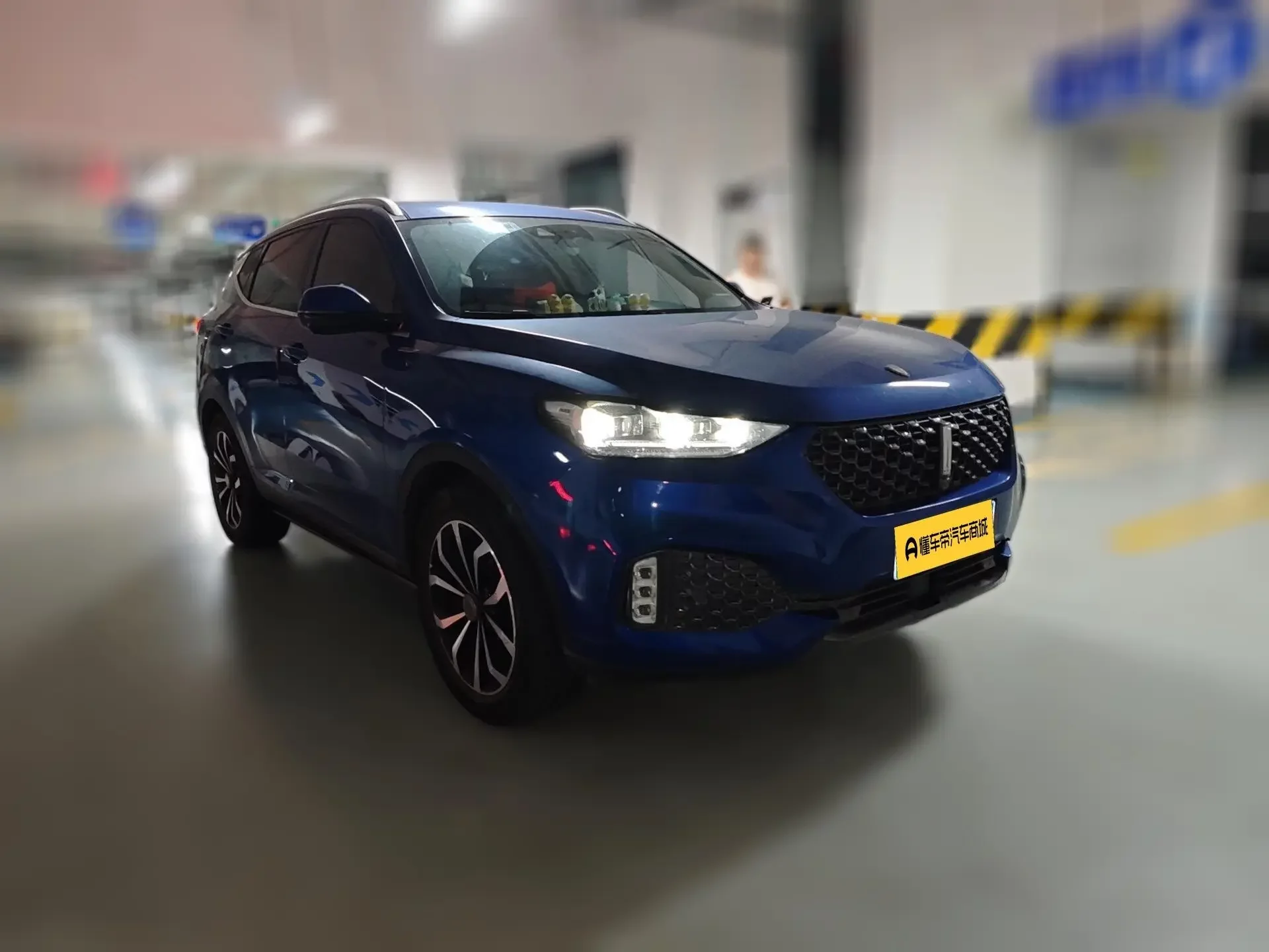 Wey Wei brand VV6