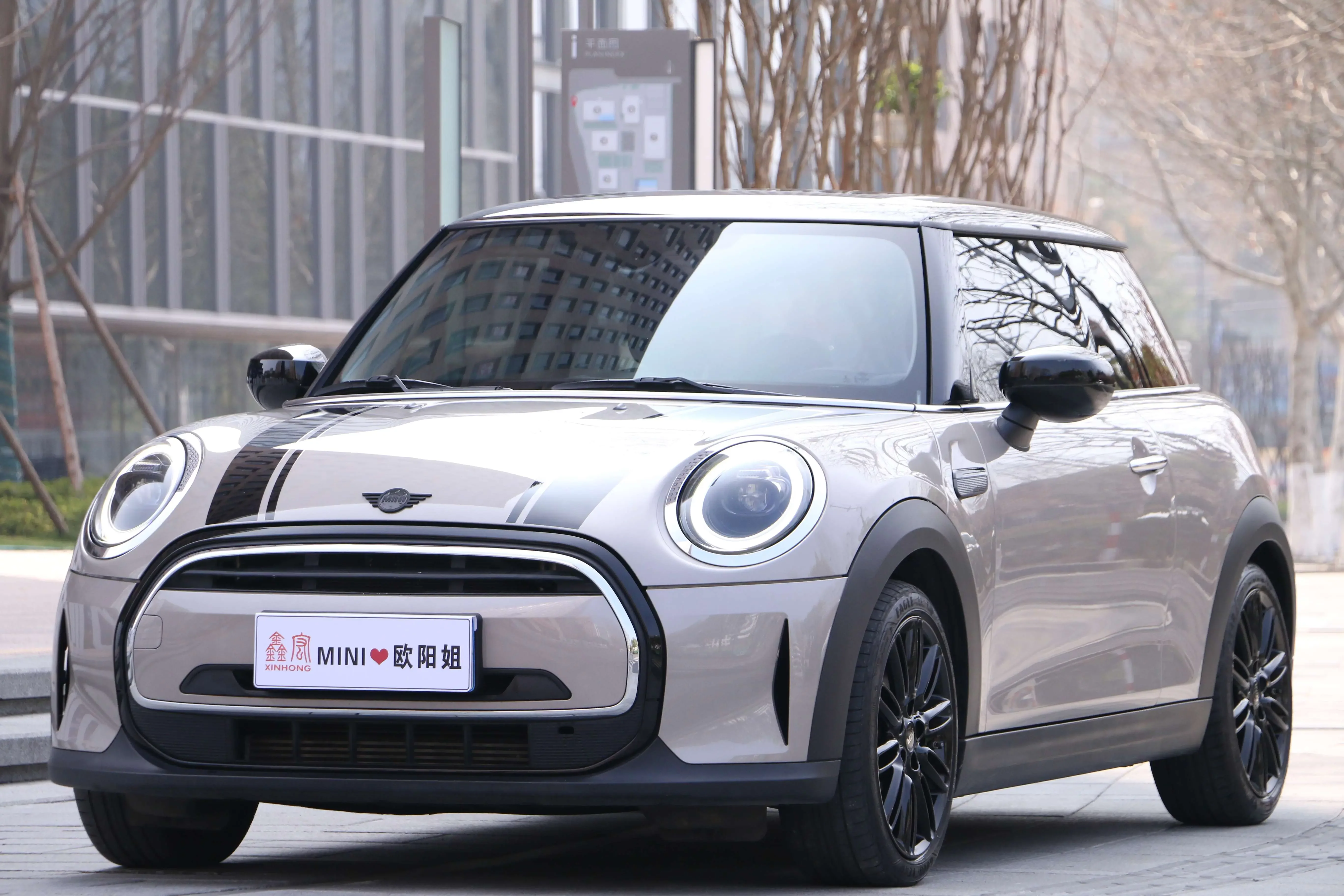 MINI 