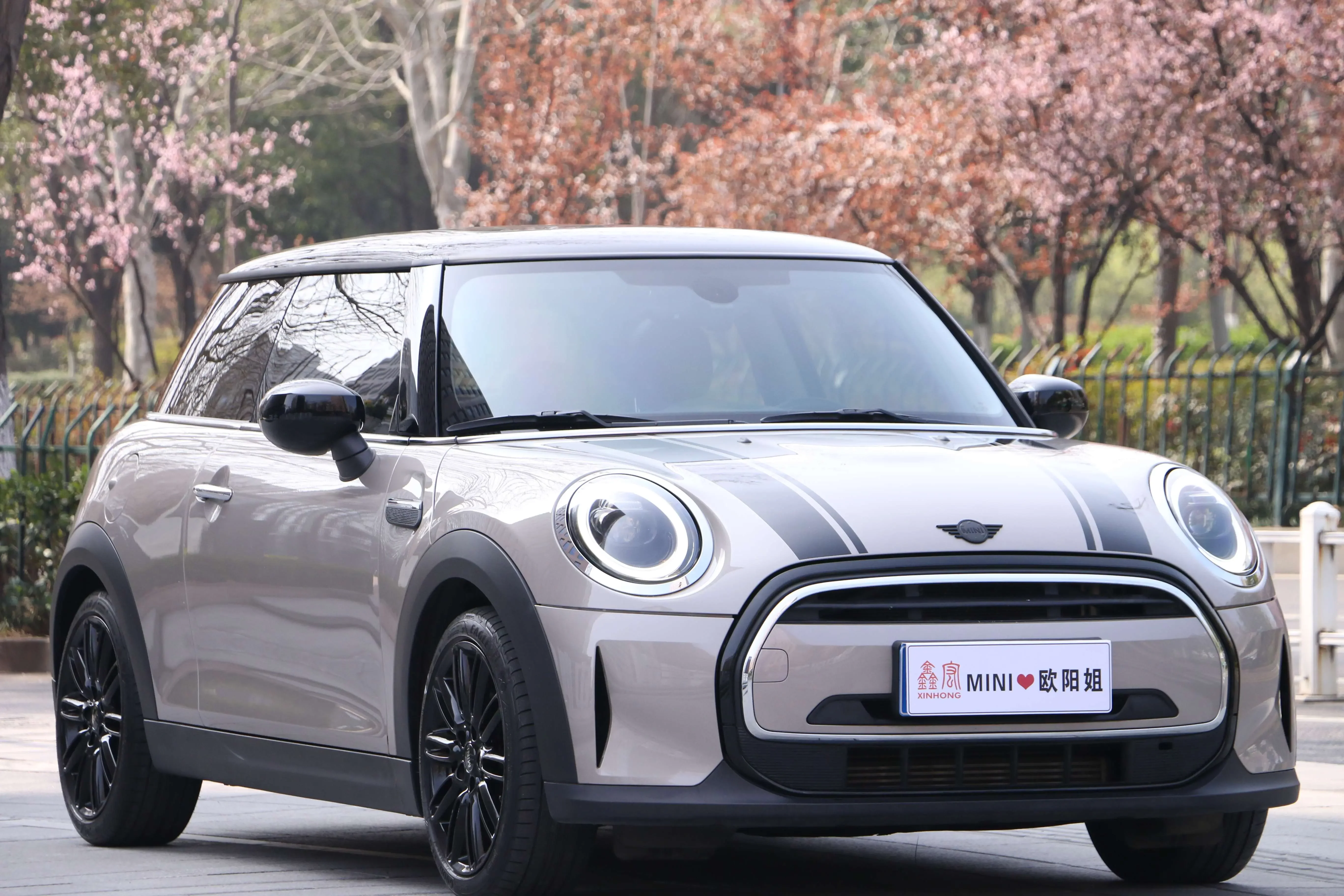 MINI 