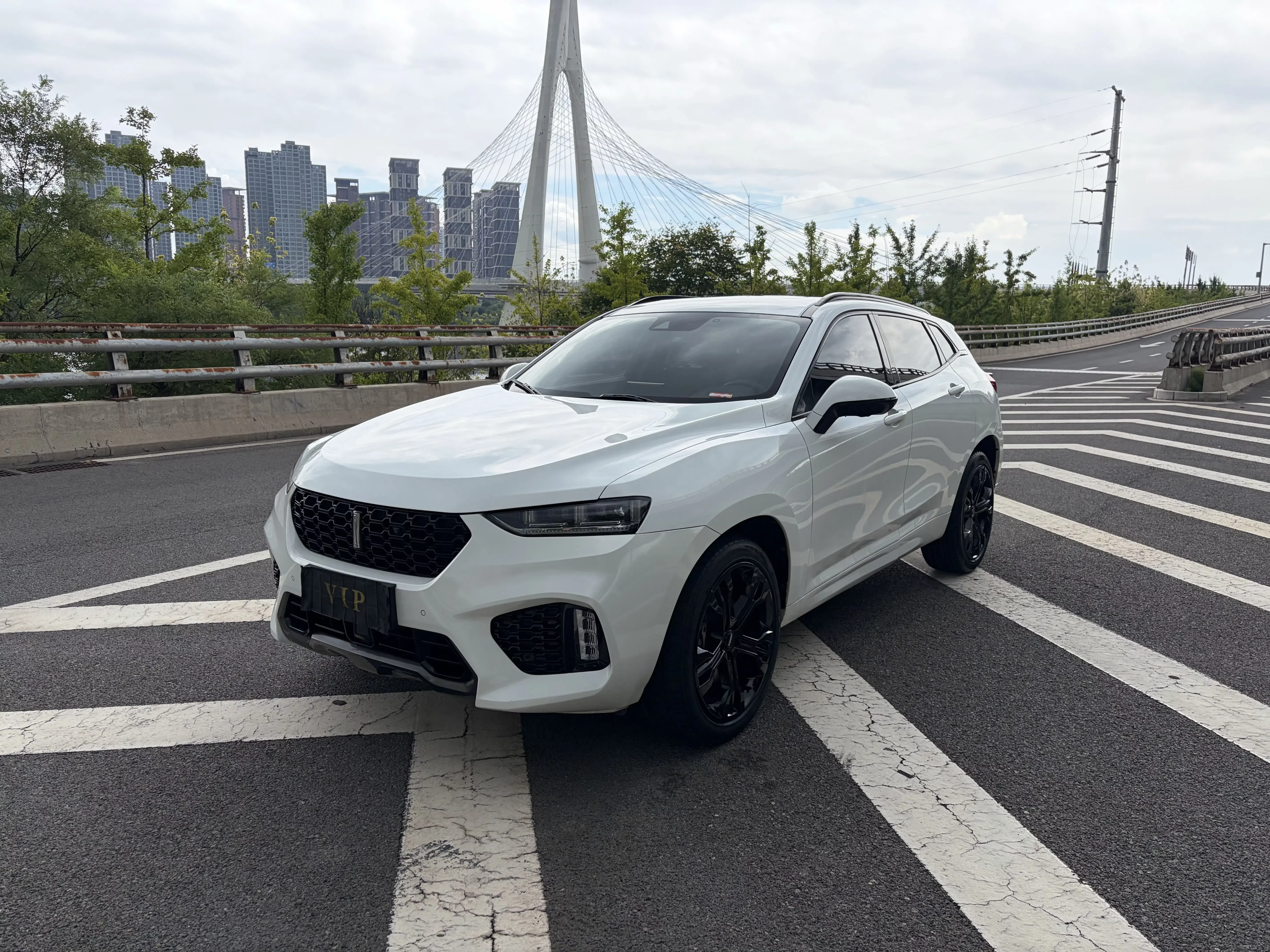 Wey Wei brand VV7