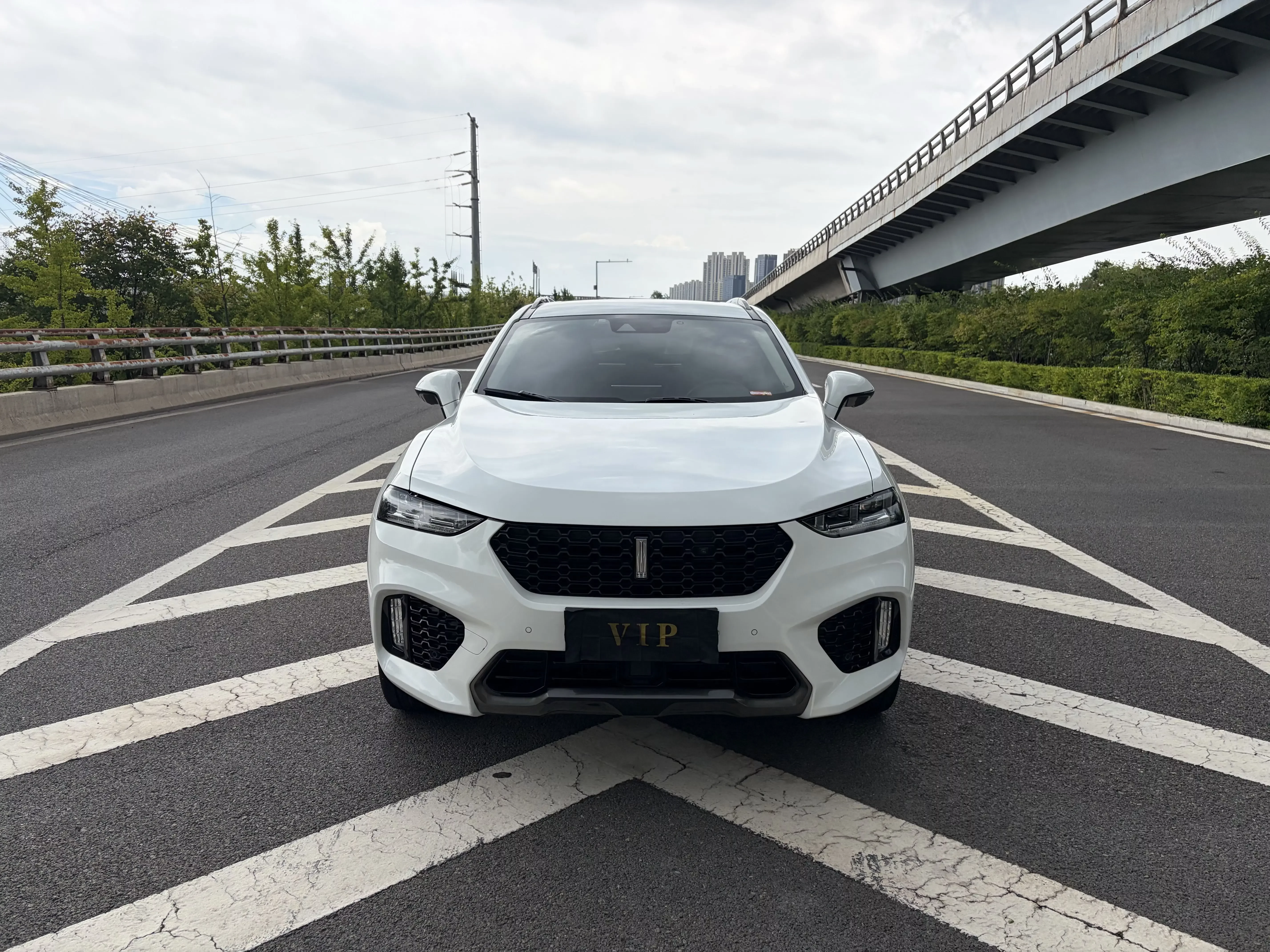 Wey Wei brand VV7