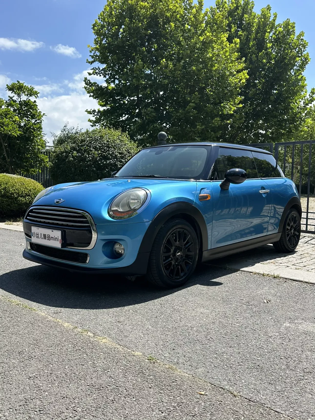 MINI 