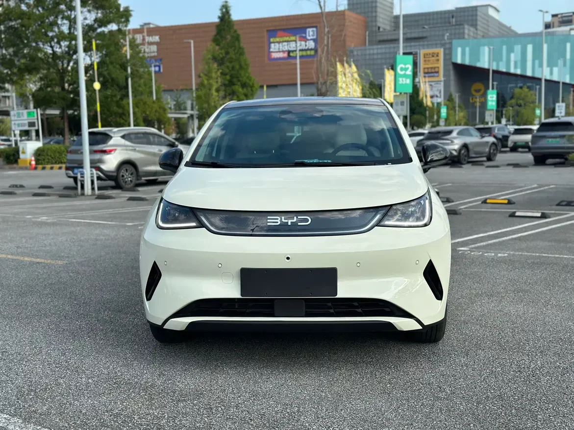 BYD dolphin