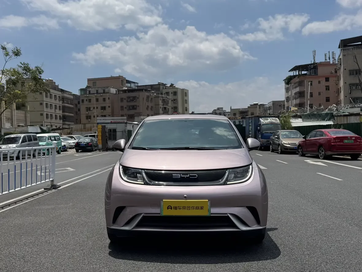 BYD dolphin