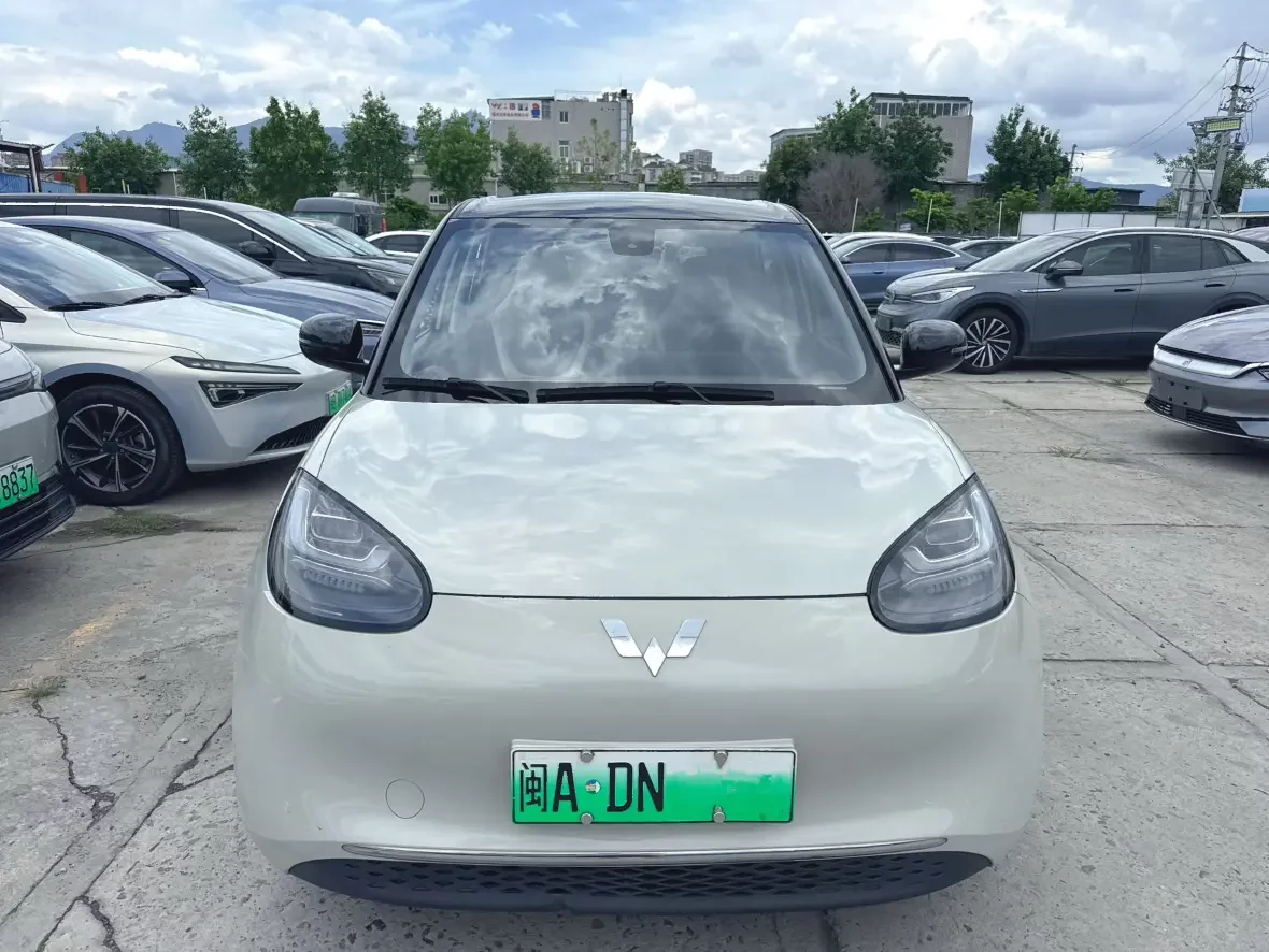 Wuling Bingo