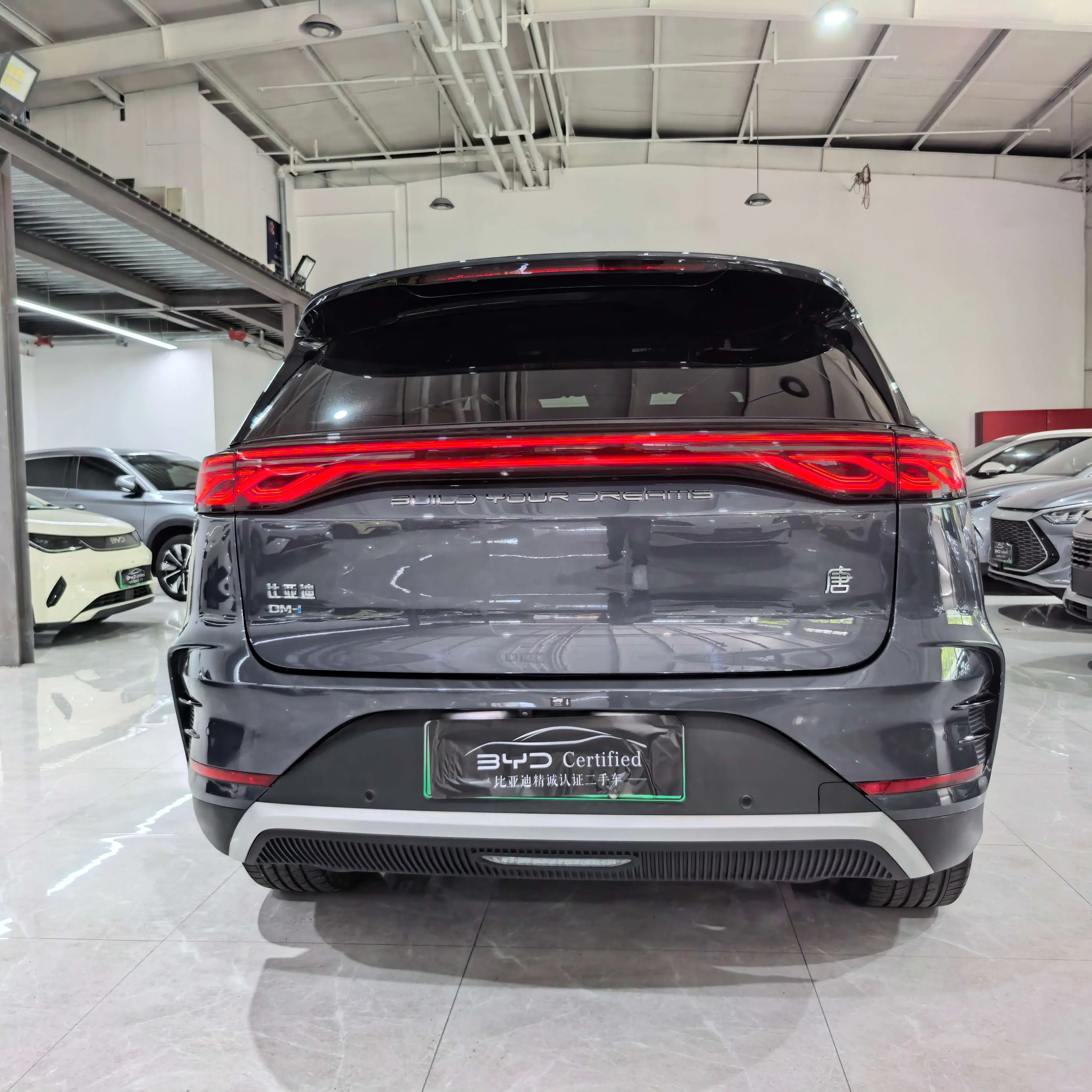 BYD Tang DM