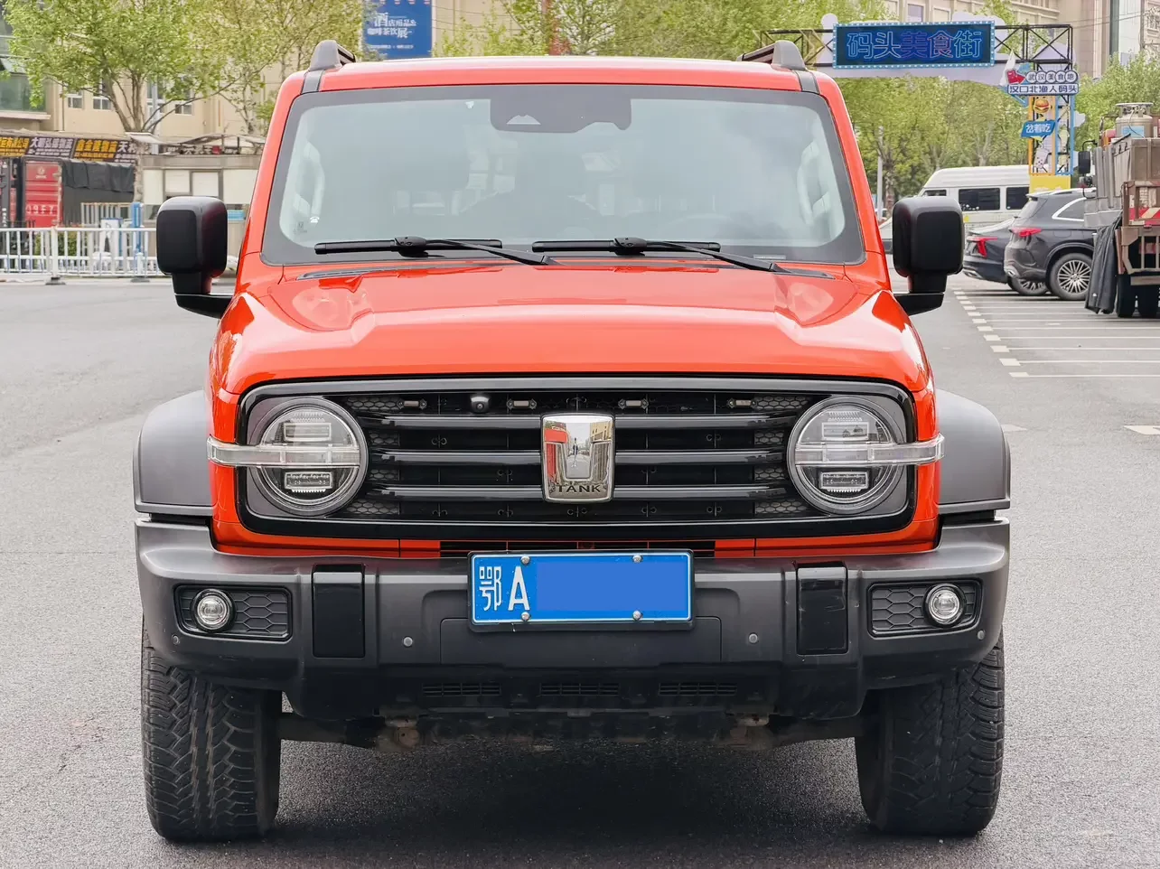 Tank 300