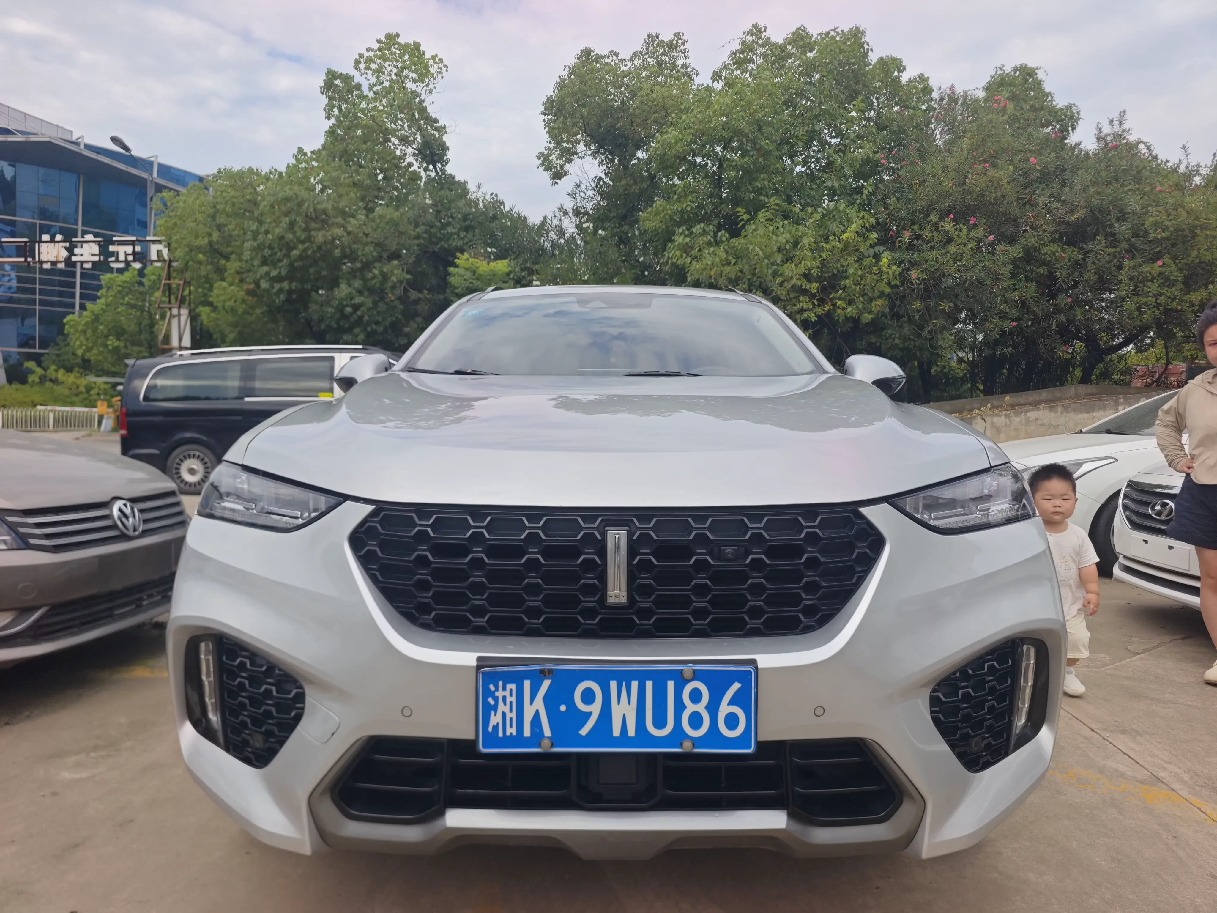 Wey Wei brand VV7