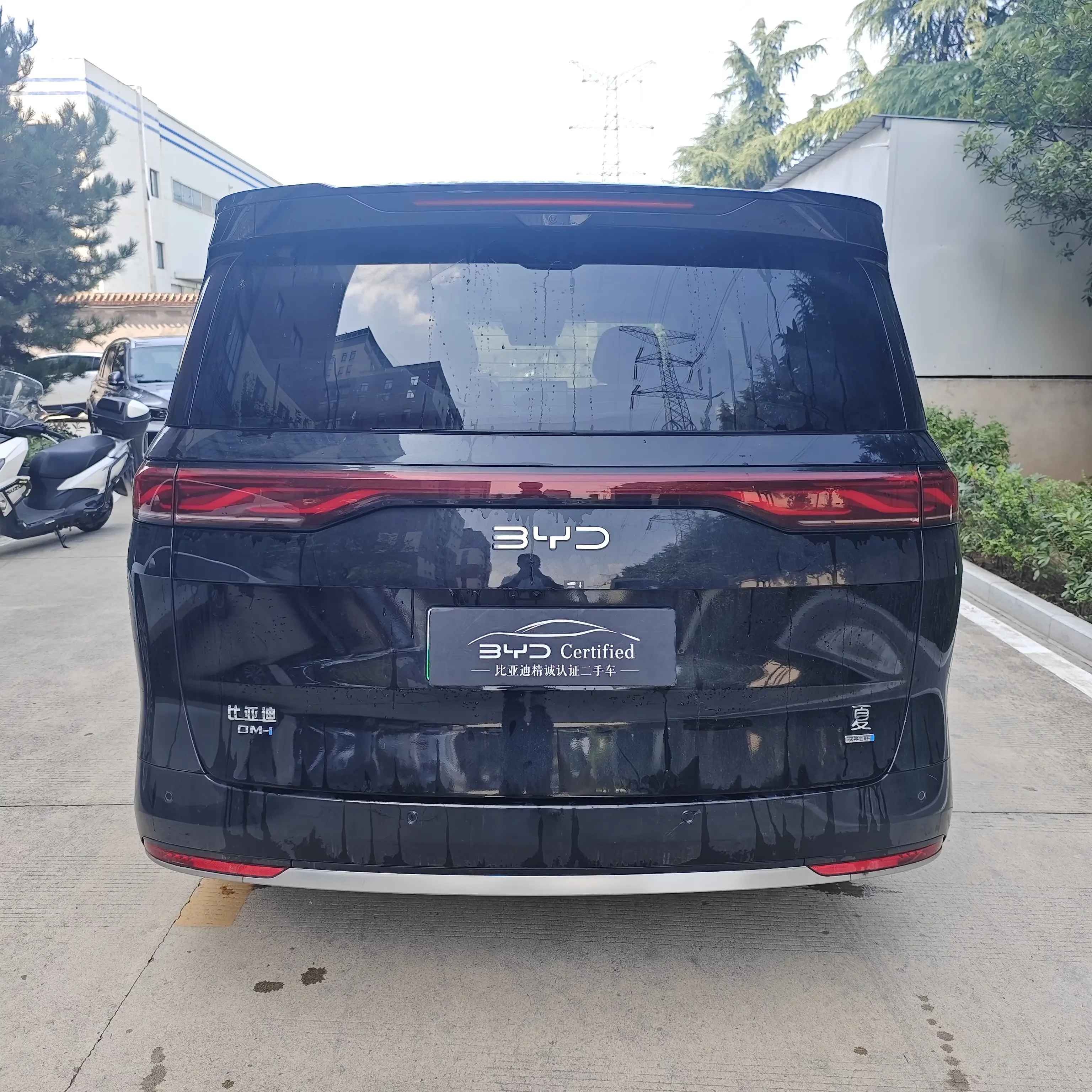 BYD summer