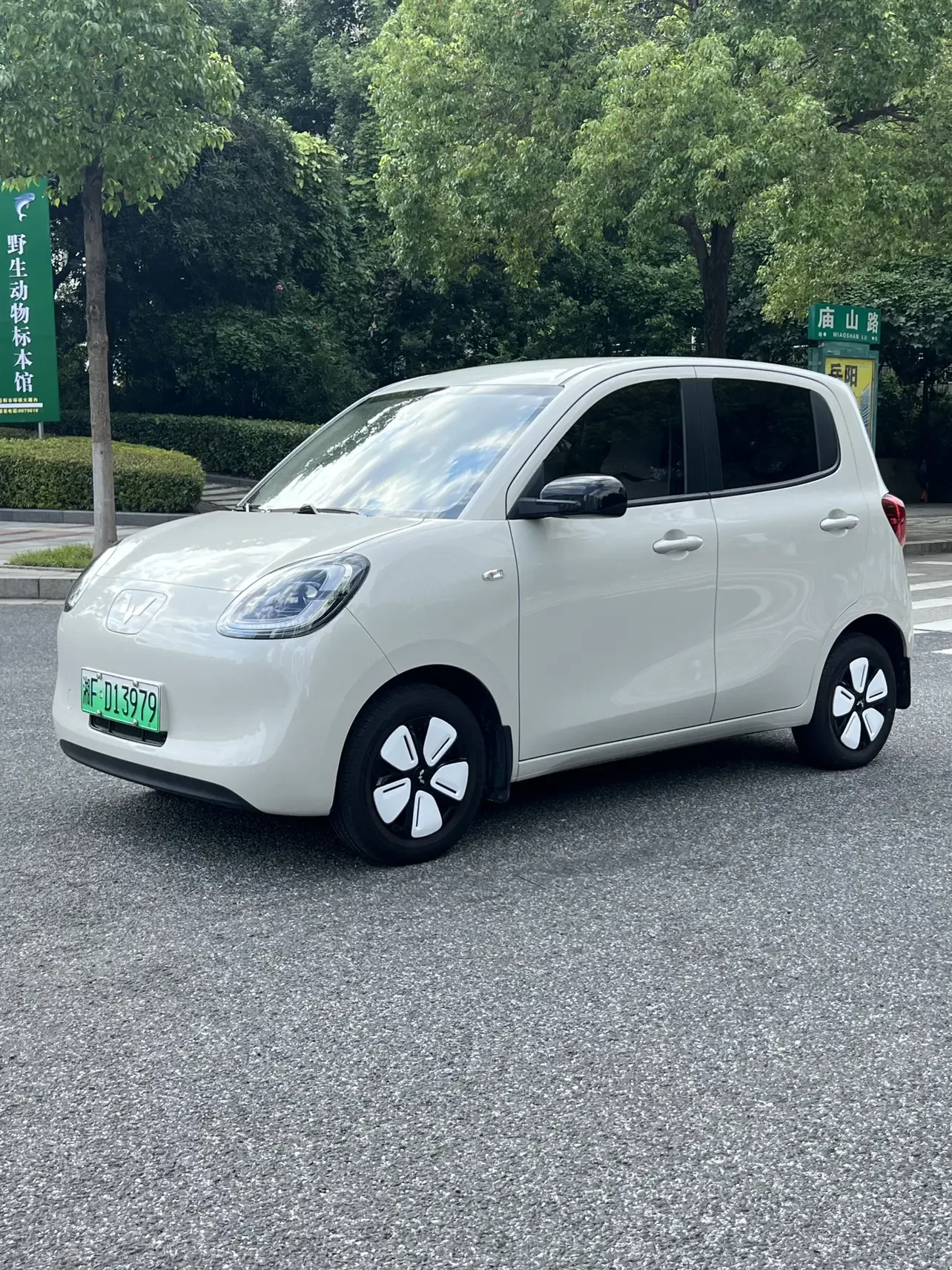 Wuling Hongguang MINIEV