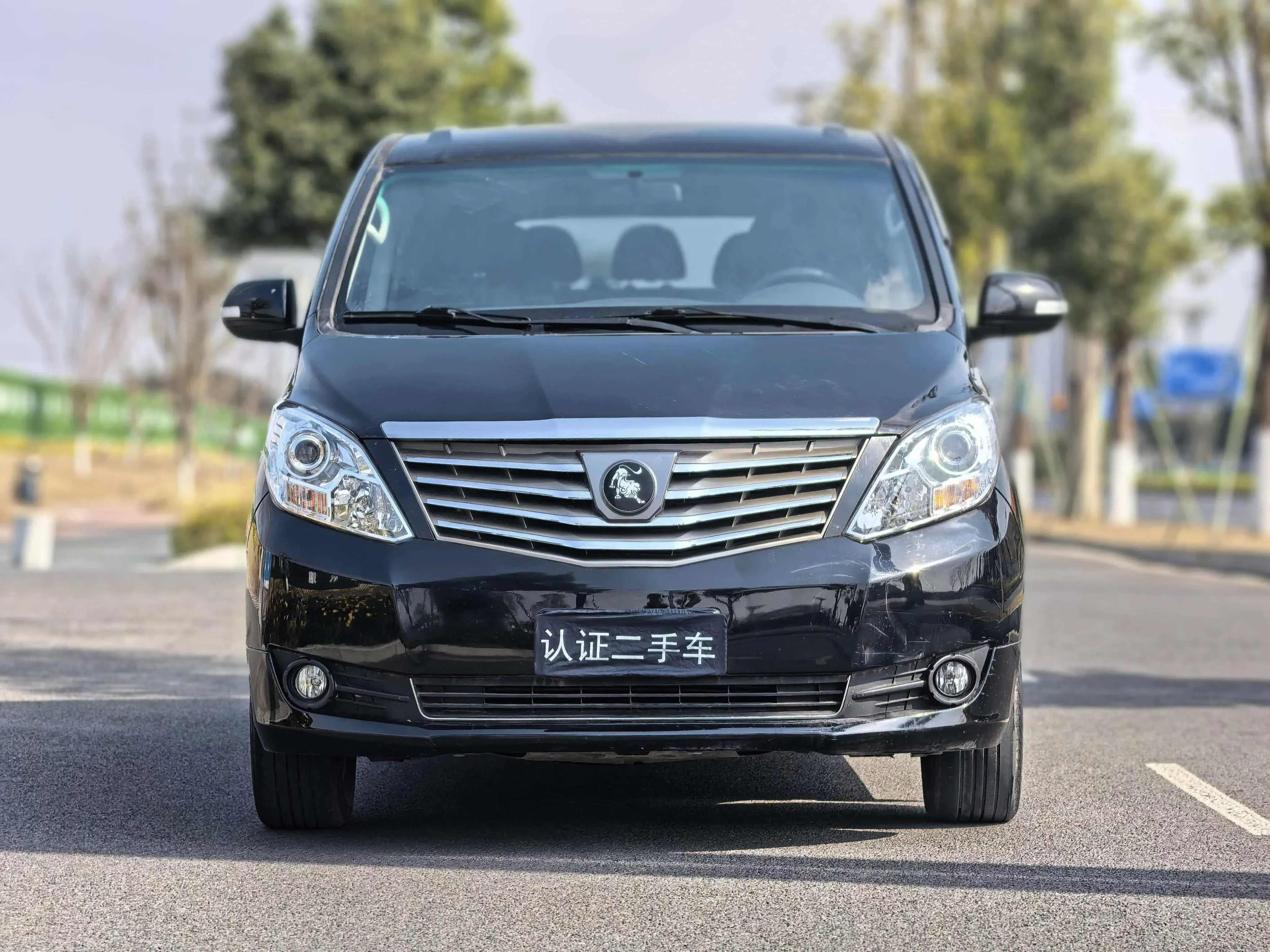 Forthing Lingzhi PLUS