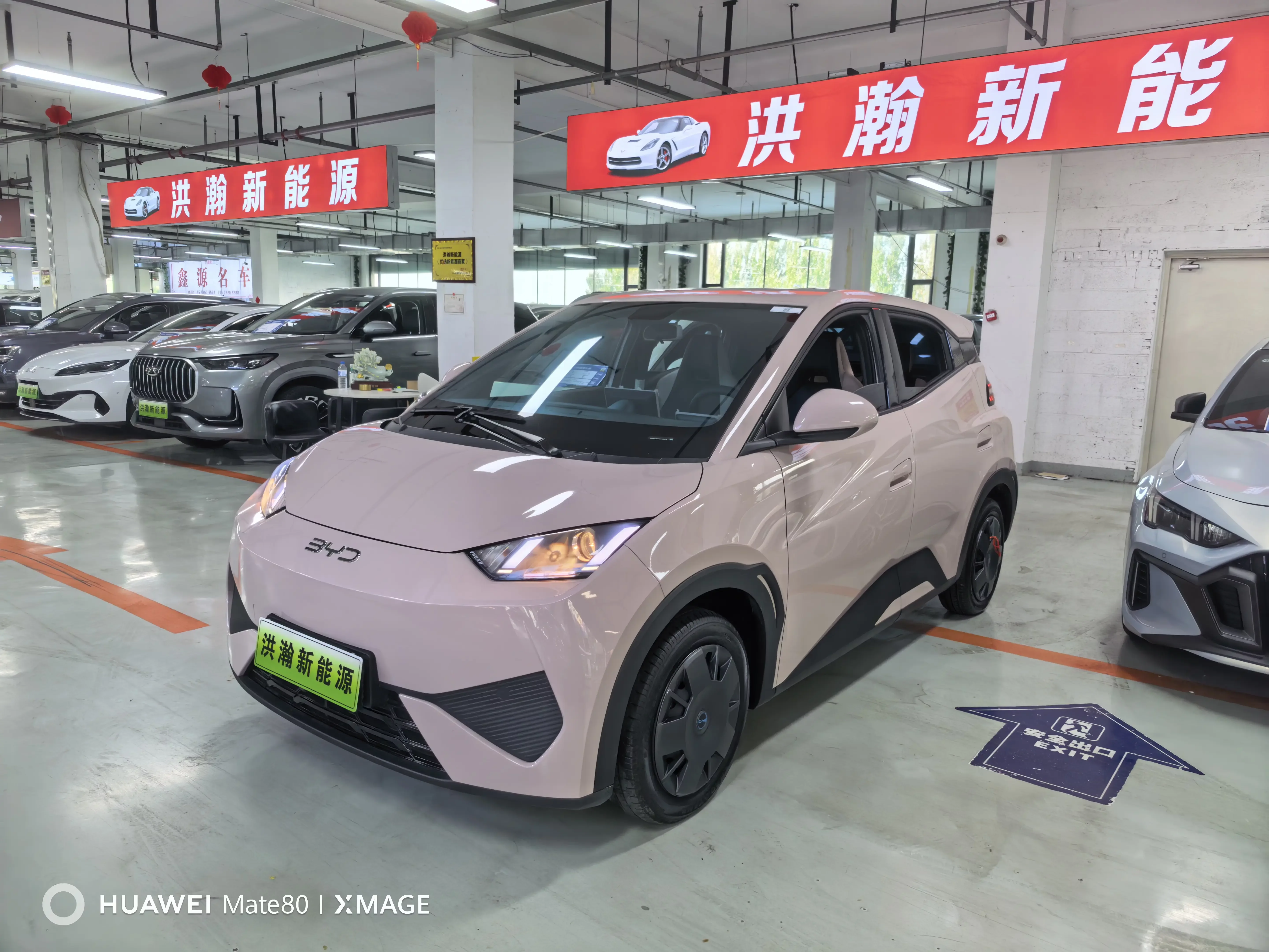 BYD seagull