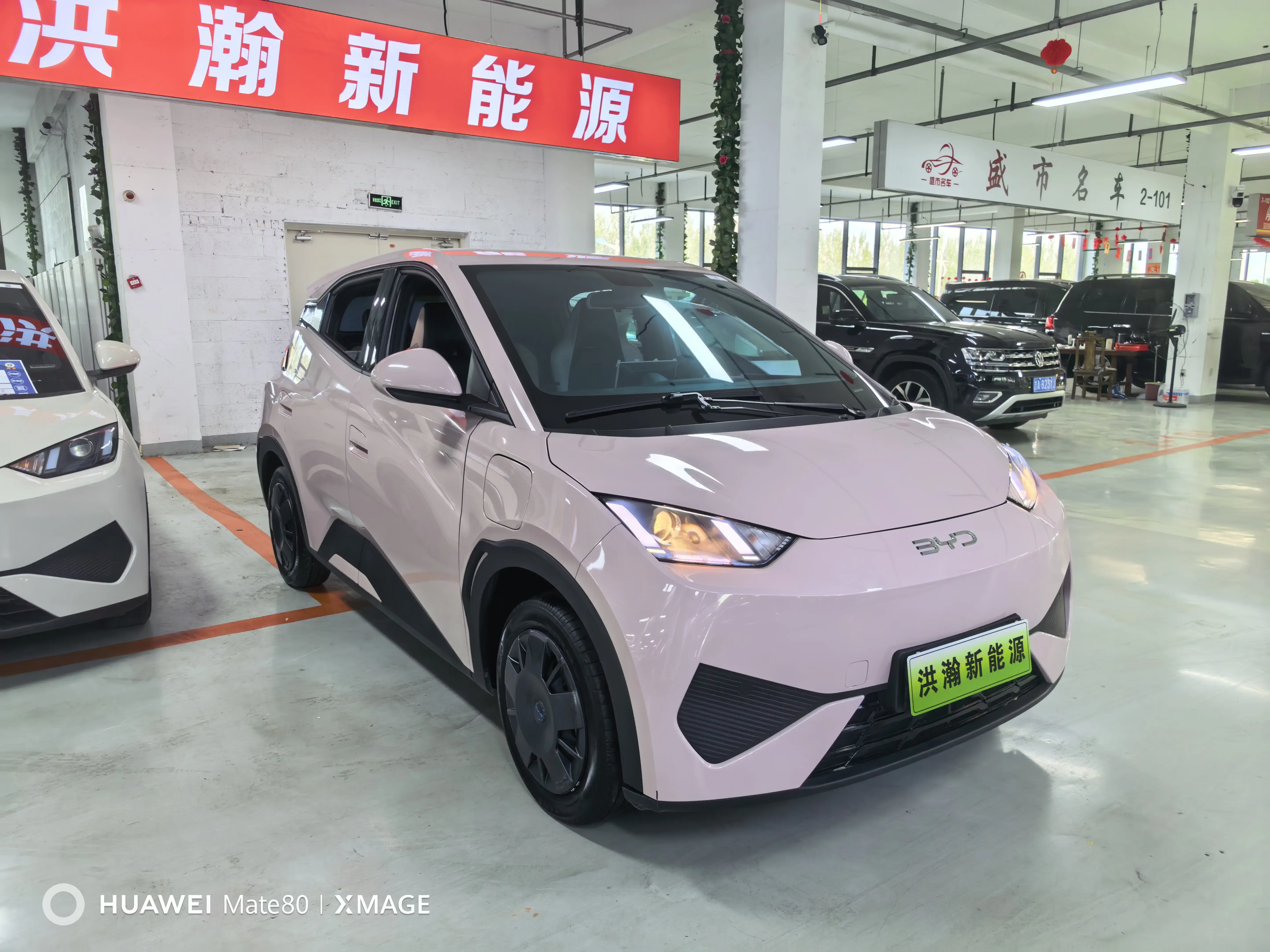 BYD seagull