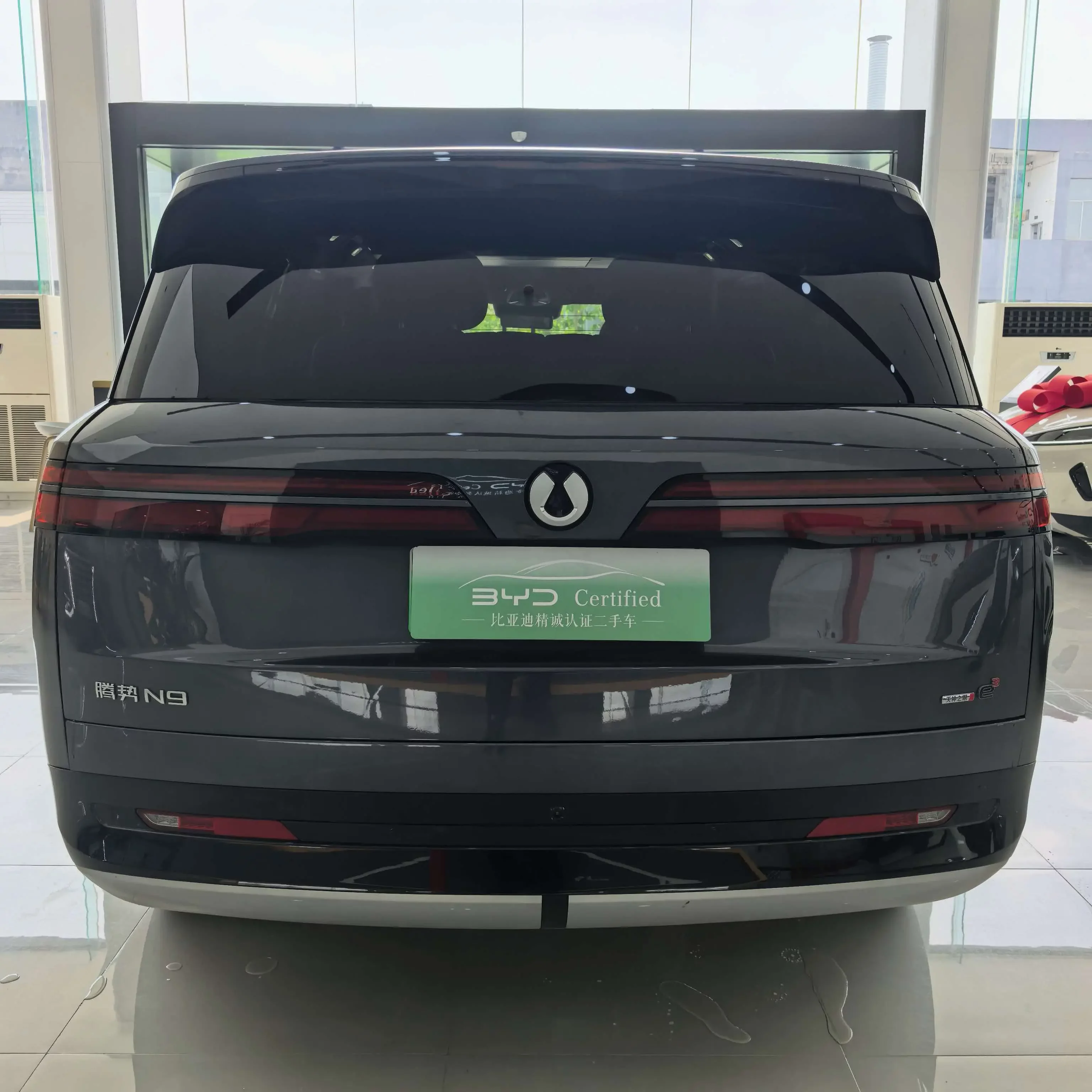 Denza Tengzhong N9 DM