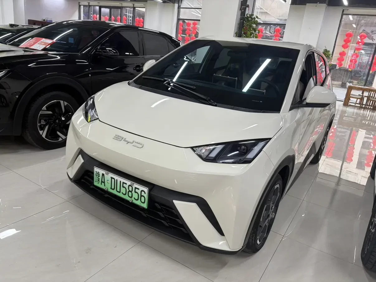 BYD seagull