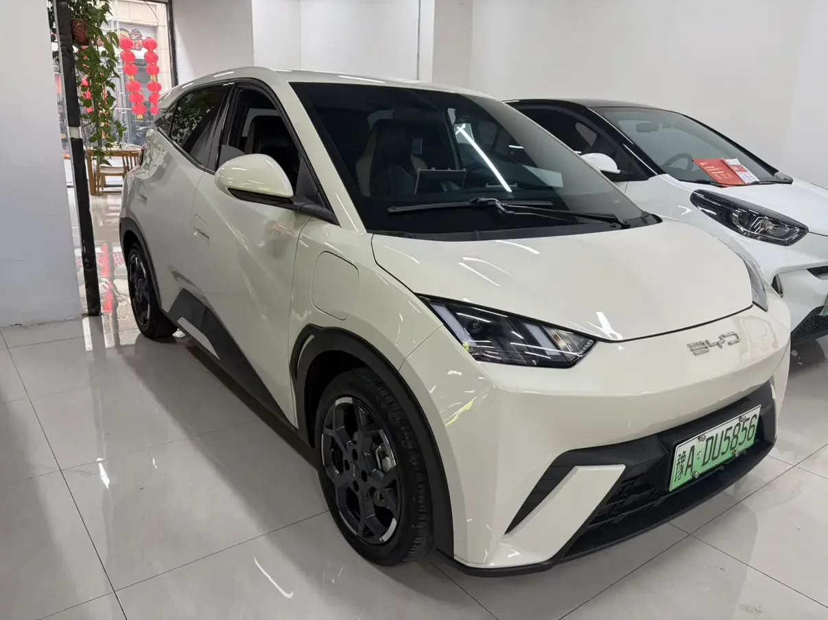 BYD seagull