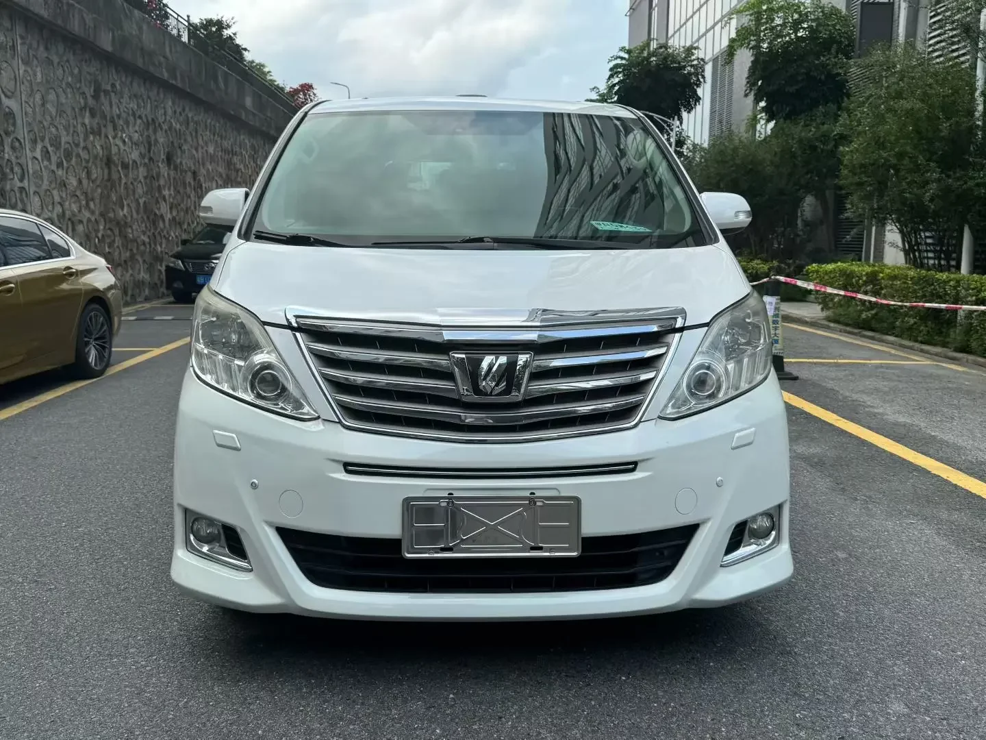 Toyota Alphard (Elfa)