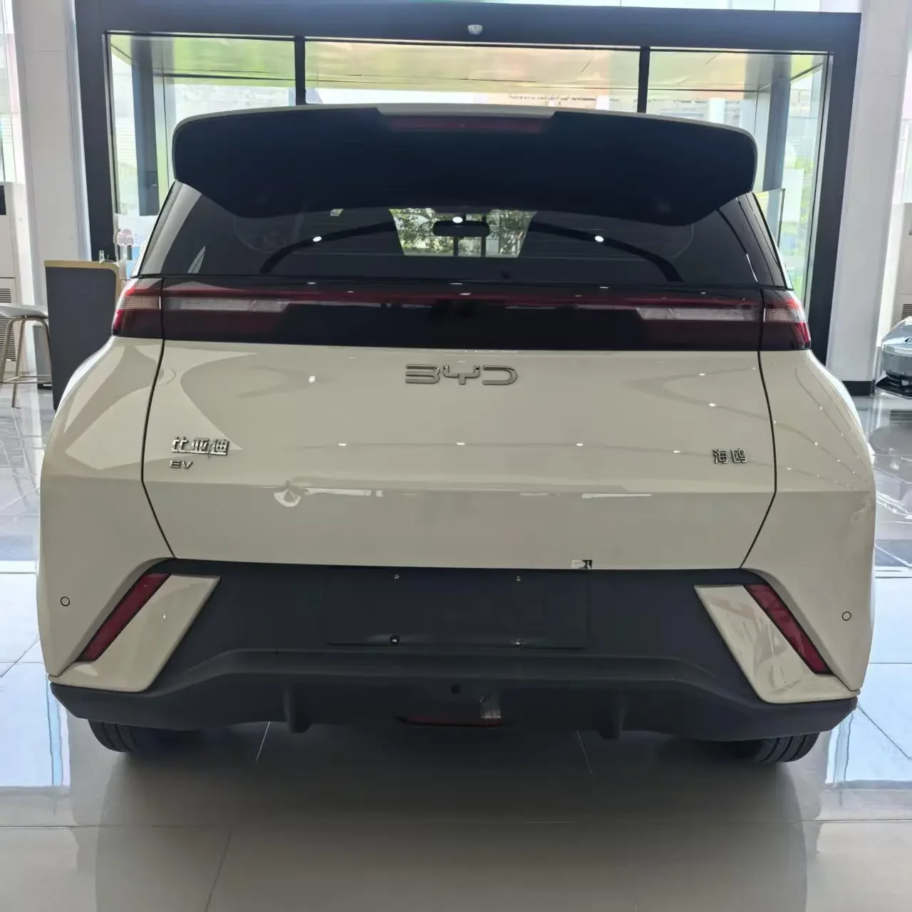 BYD seagull