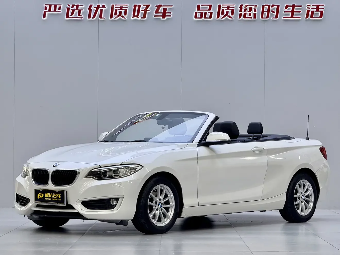 BMW 2 Series
