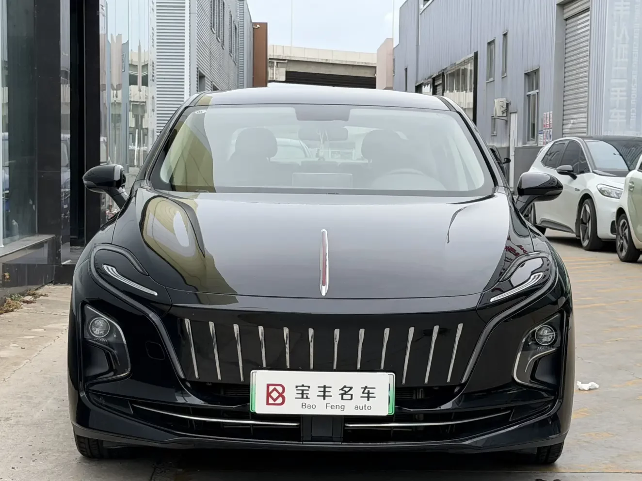 Hongqi E-QM5